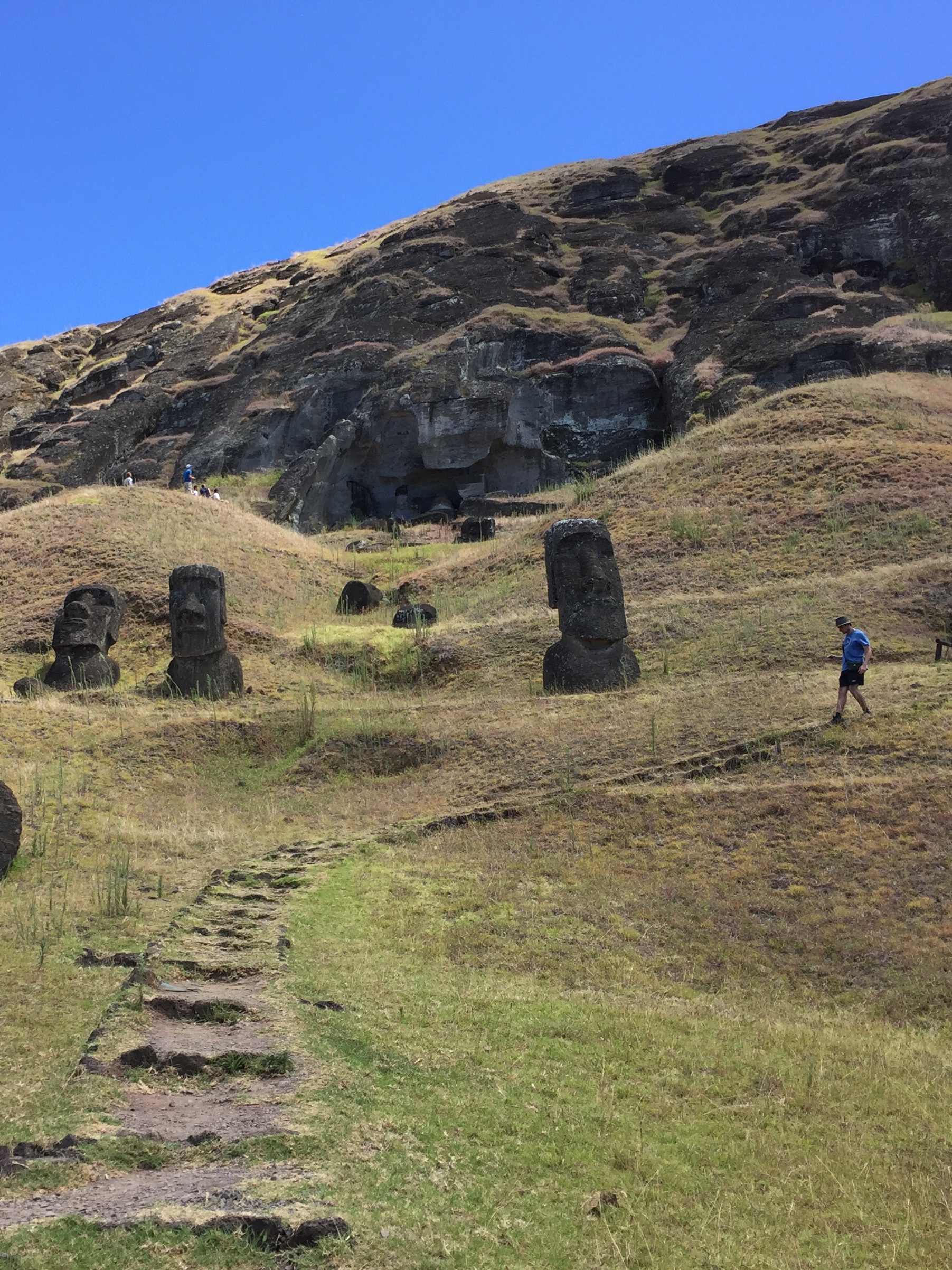 This photo shows the quarry from which the stone blocks were removed to carve the Moia, which were then transported down hill to platforms for mounting.