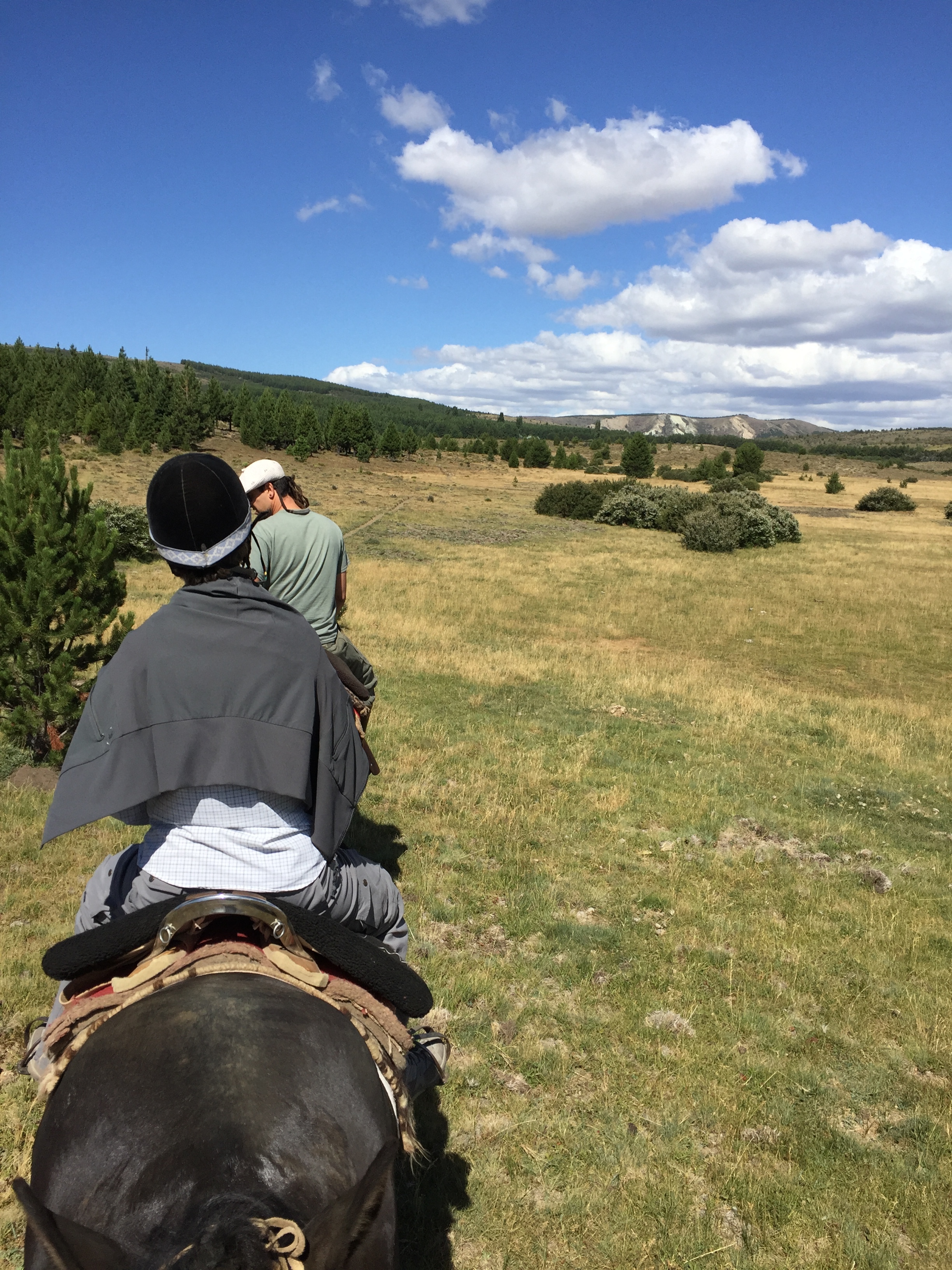 Horseback riding on the Patagonian steppe.