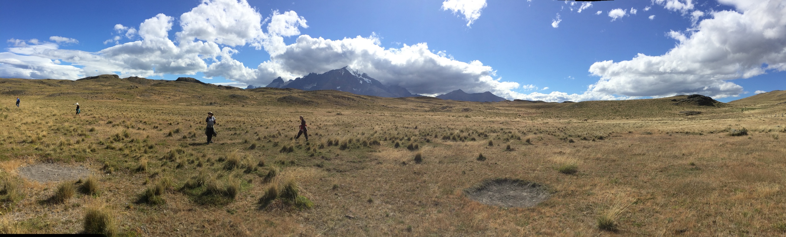 My fellow hikers in guanaco country in Torres del Paine National Park