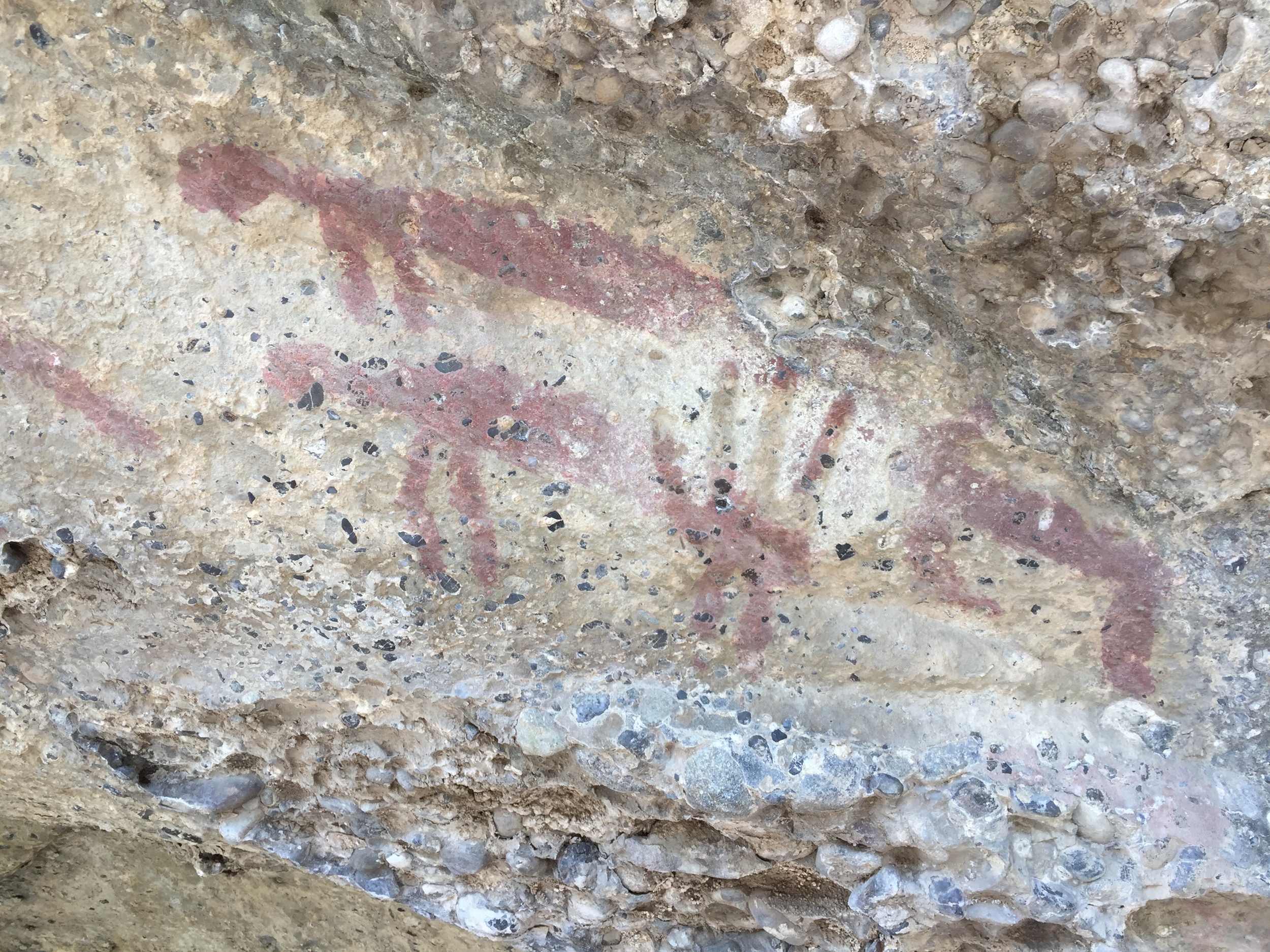 Our hike's destination was these ancient petroglyphs or rock art, which were painted on these sedimentary cliffs thousands of years ago.