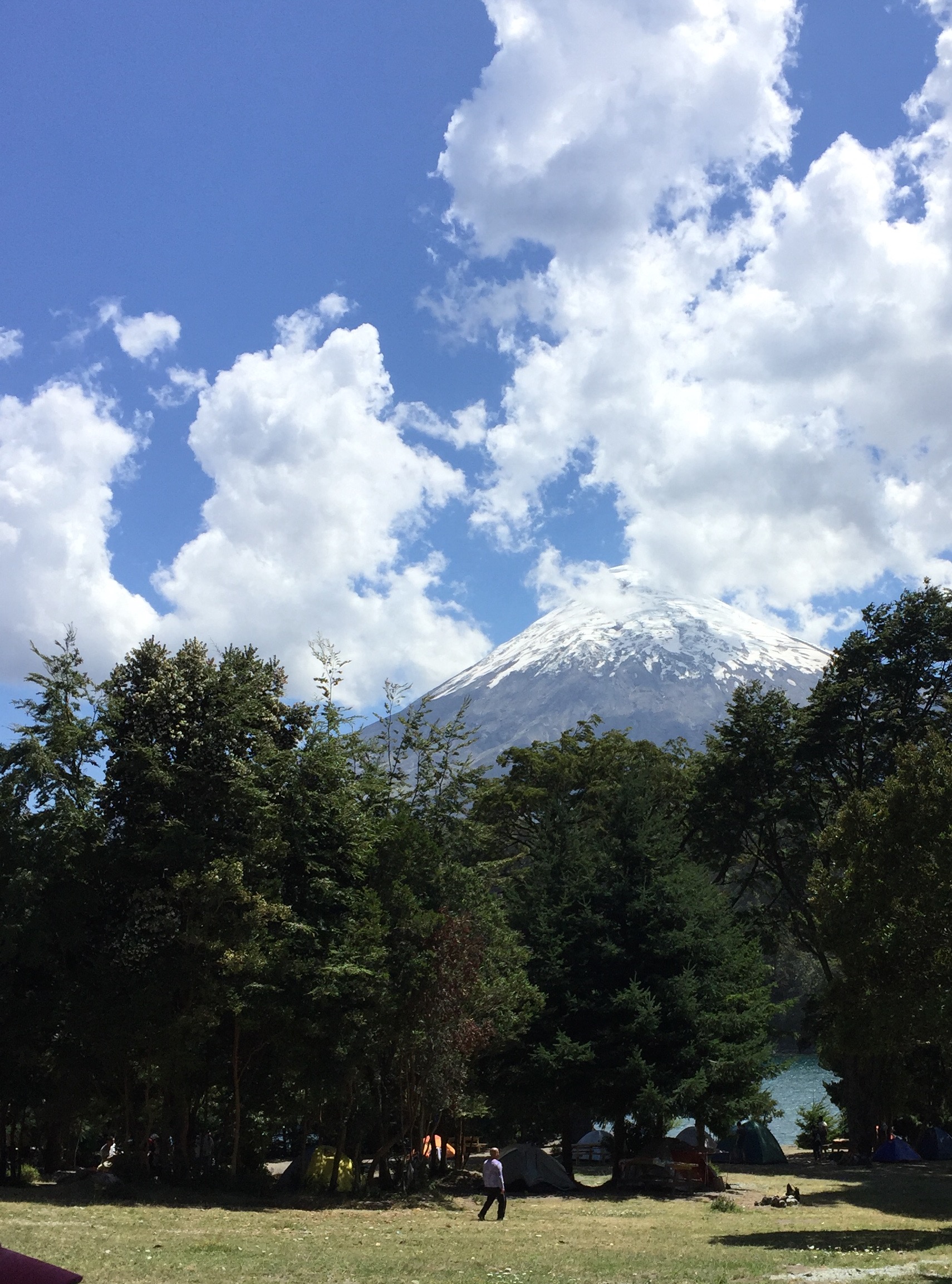 This is the small private campground where we had lunch in Vicente Pérez Rosales National Park . Our Chilean hosts had lived here since before the designation of the park. Note the clear view of Osorno in the background.