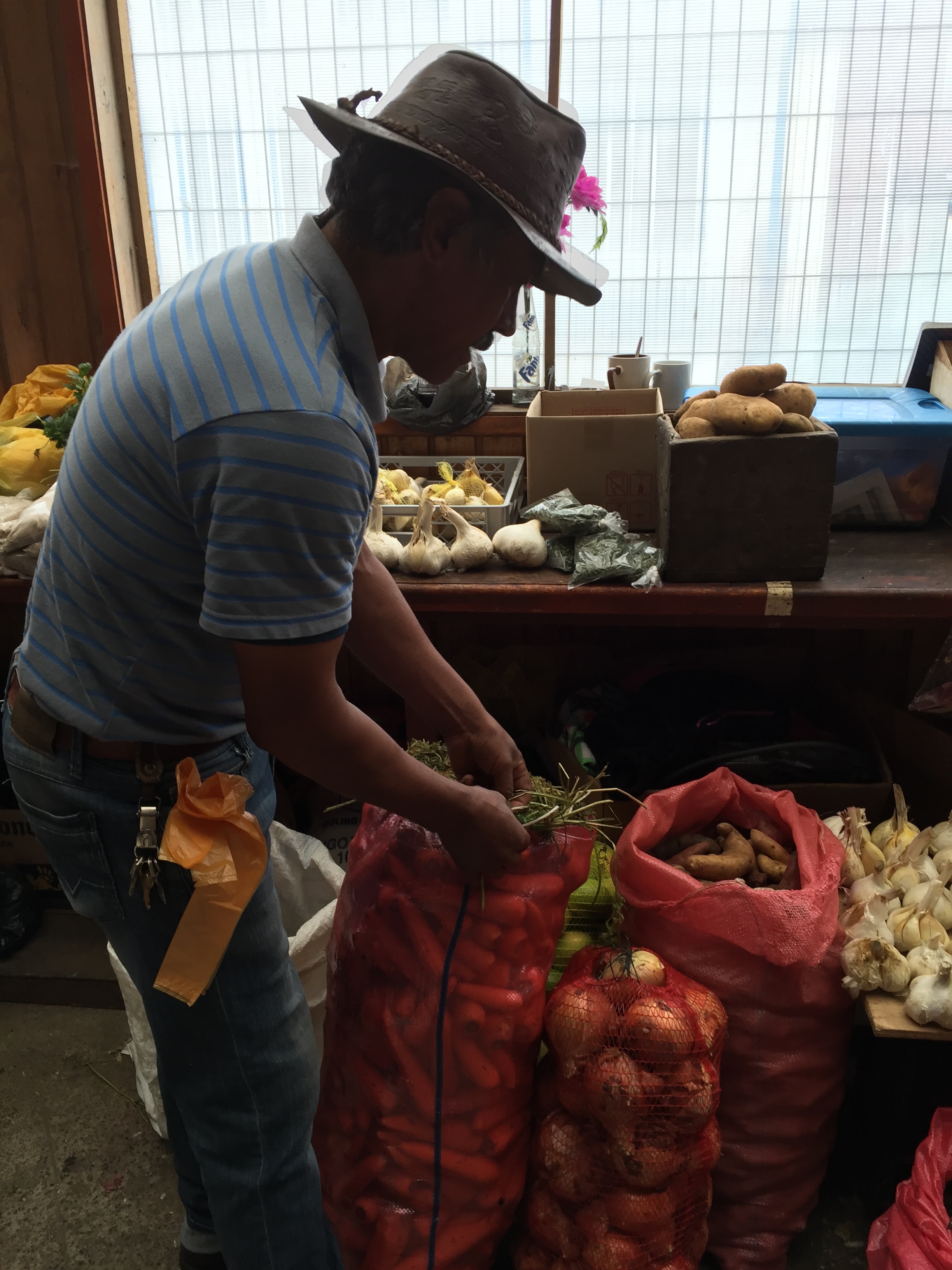 Chiloe Island has a thriving market, with vendors selling produce, fresh fish, and crafts.
