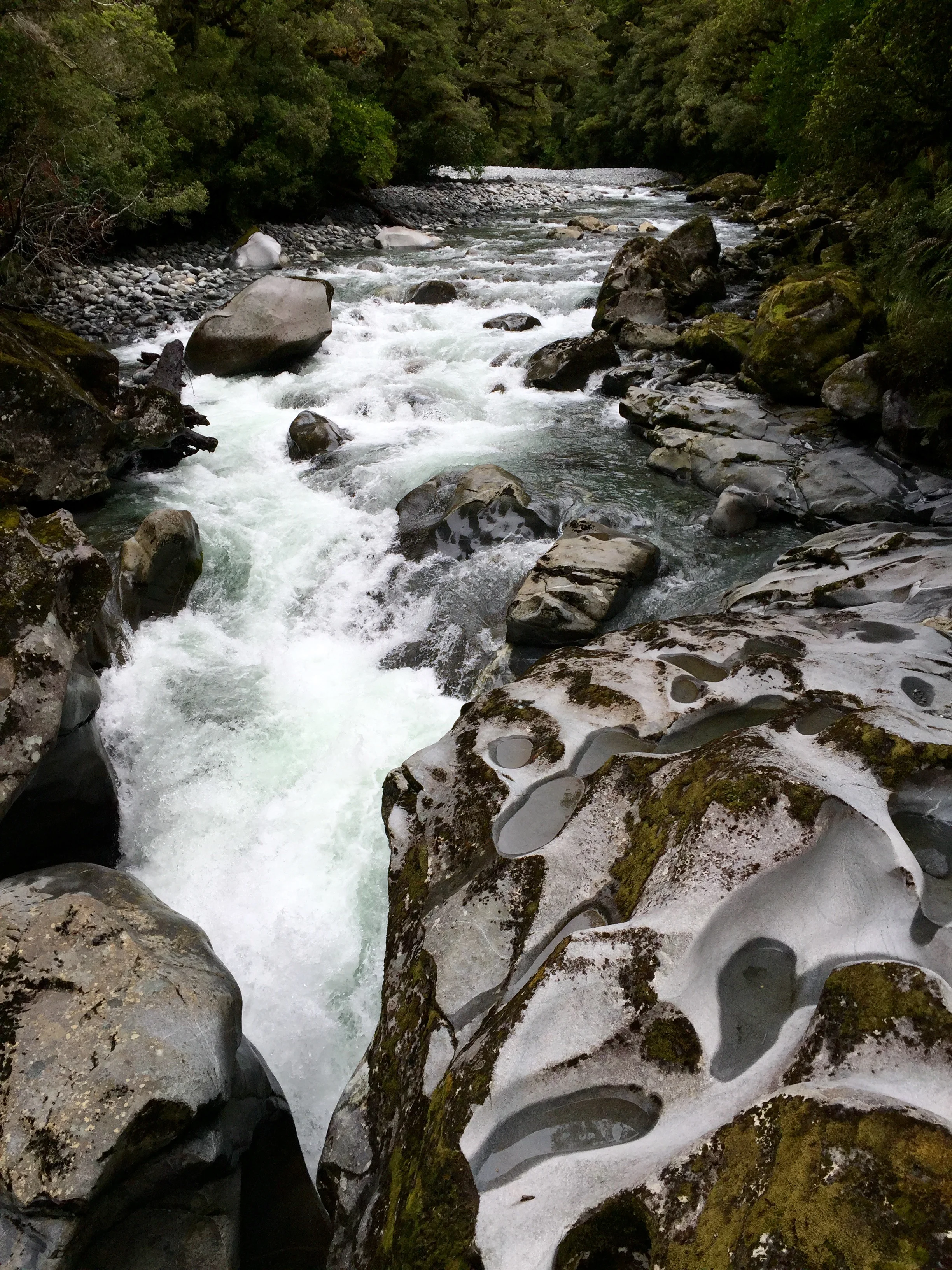 New Zealand: A bump in the road in a sojourner's dreamscape