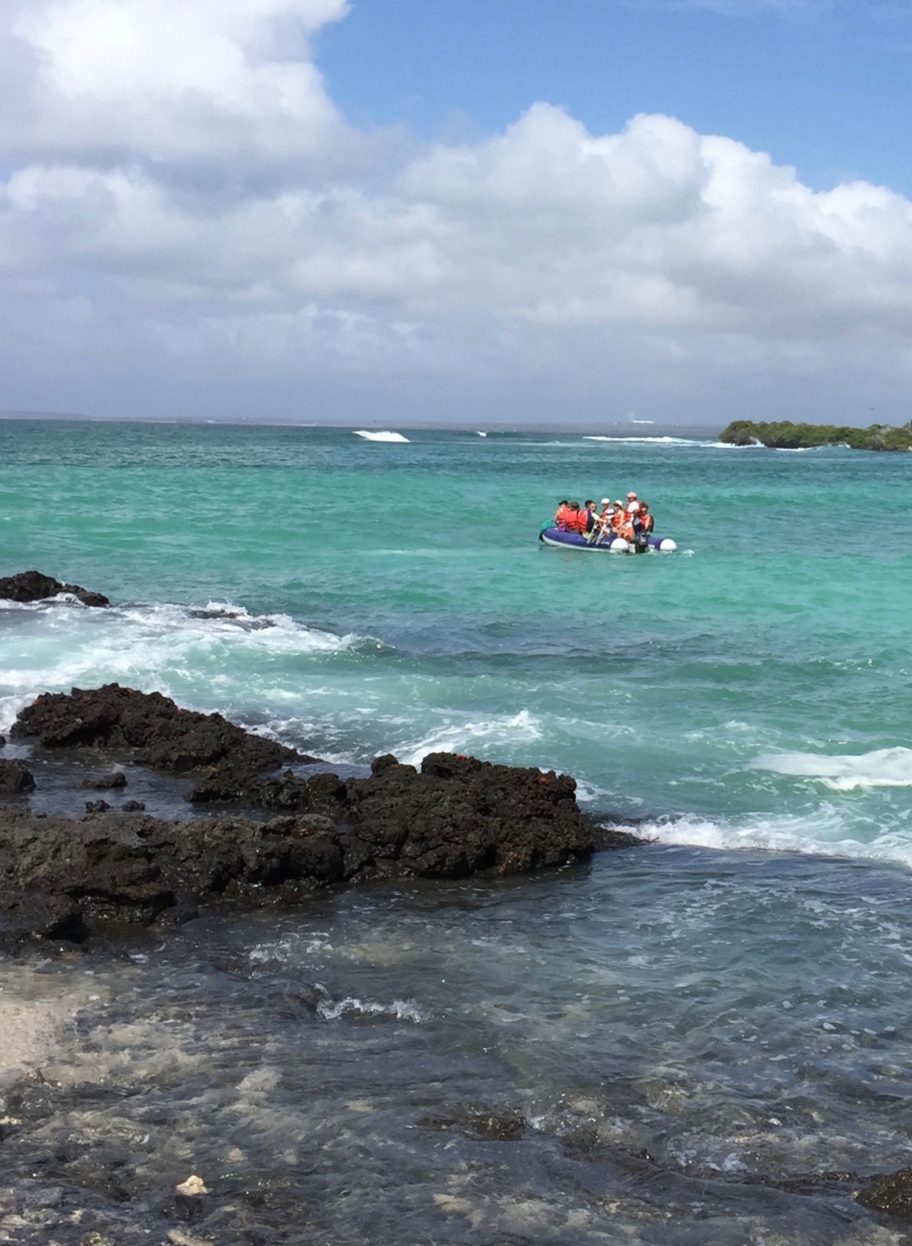 Back on the Zodiac, headed for our catamaran, the Nemo III, which you can see faintly on the horizon line on the right.