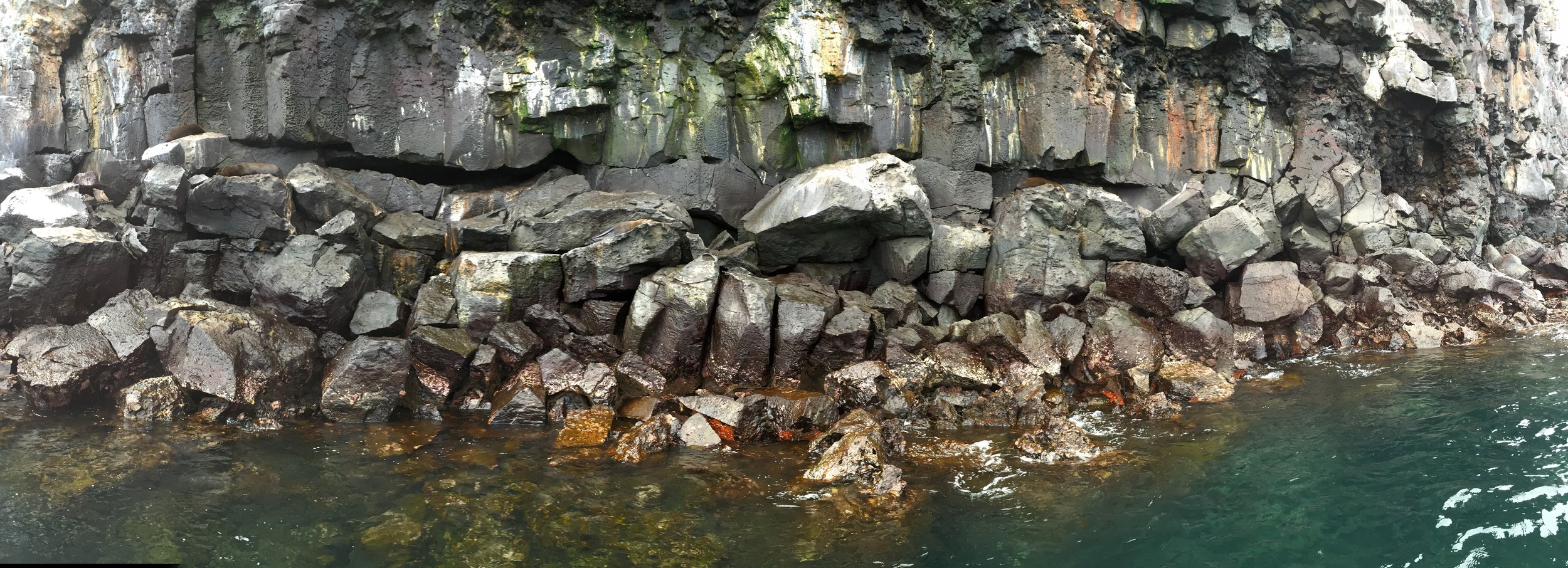 This rocky coastline at Isla Genovesa was a favorite hangout of fur seals, which made for fun underwater swim companions as we snorkeled here.