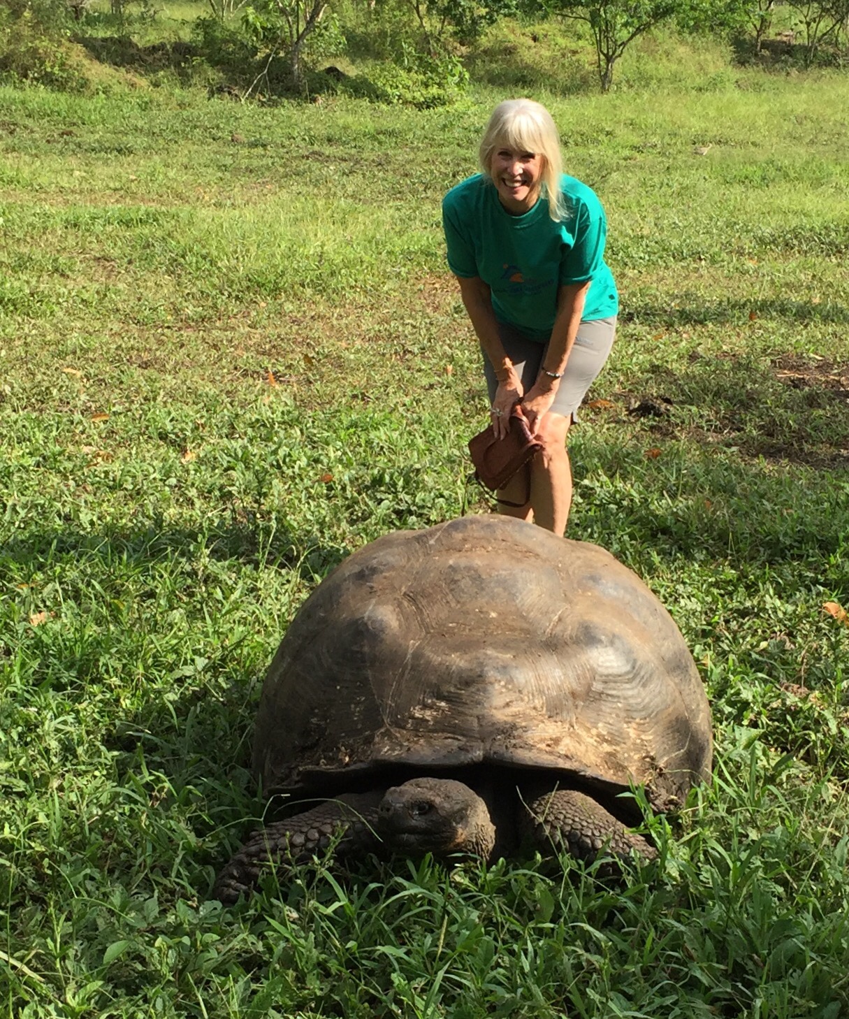 The giant Galapagos tortoise now, pictured in the wild with me above, has a chance of surviving since its native habitat is now mostly free of invasive goats. Non-native goats decimated native forests on several islands in the Galapagos.