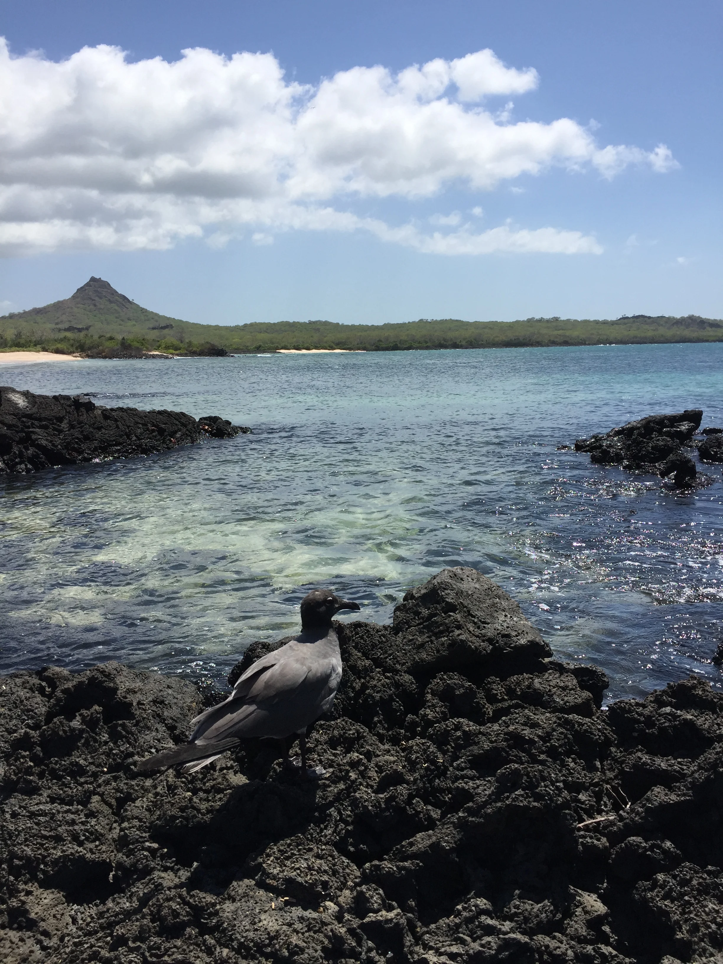 Galapagos Islands...like no place else on Earth.