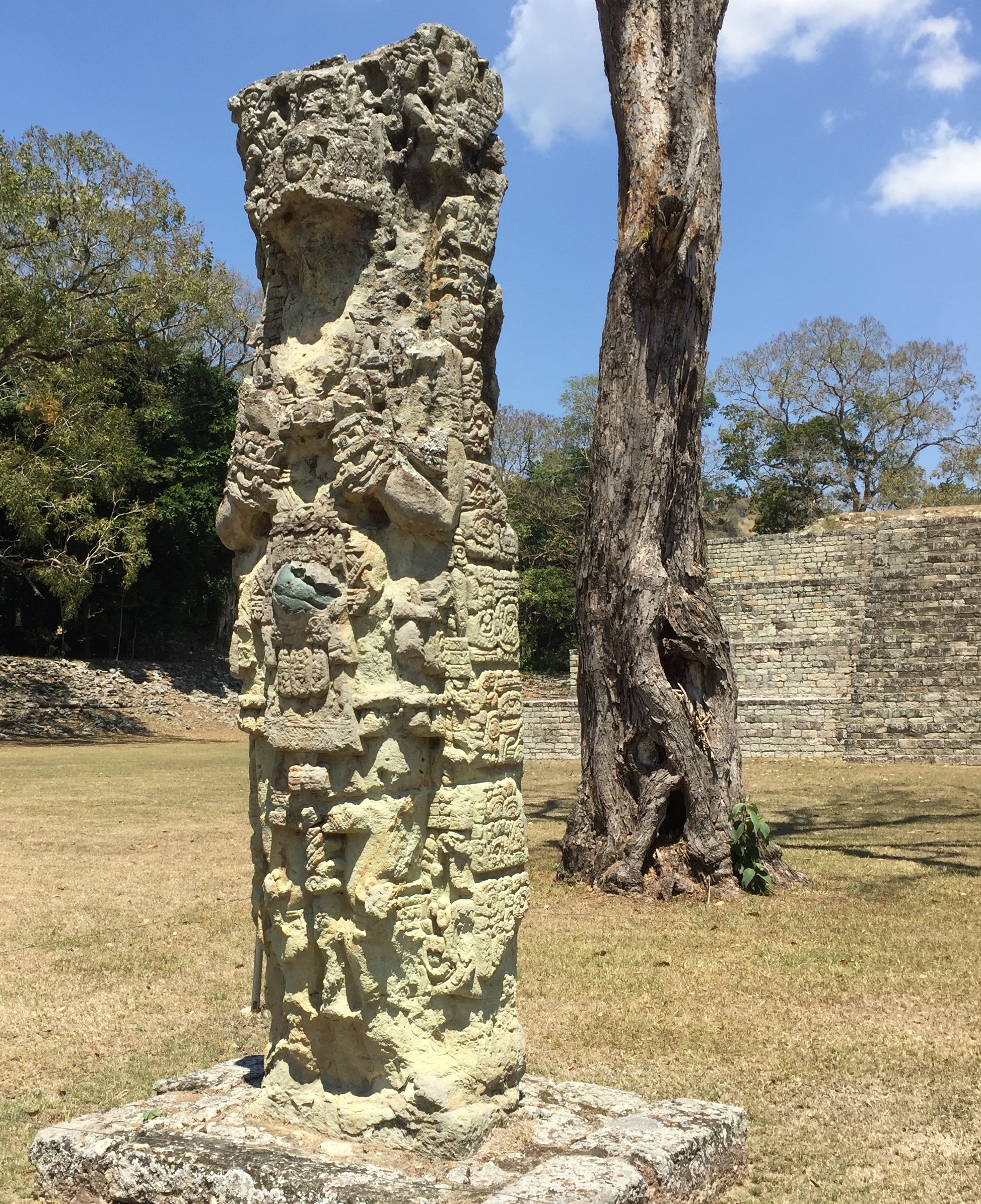 A stelae sculture at Copán, Honduras.
