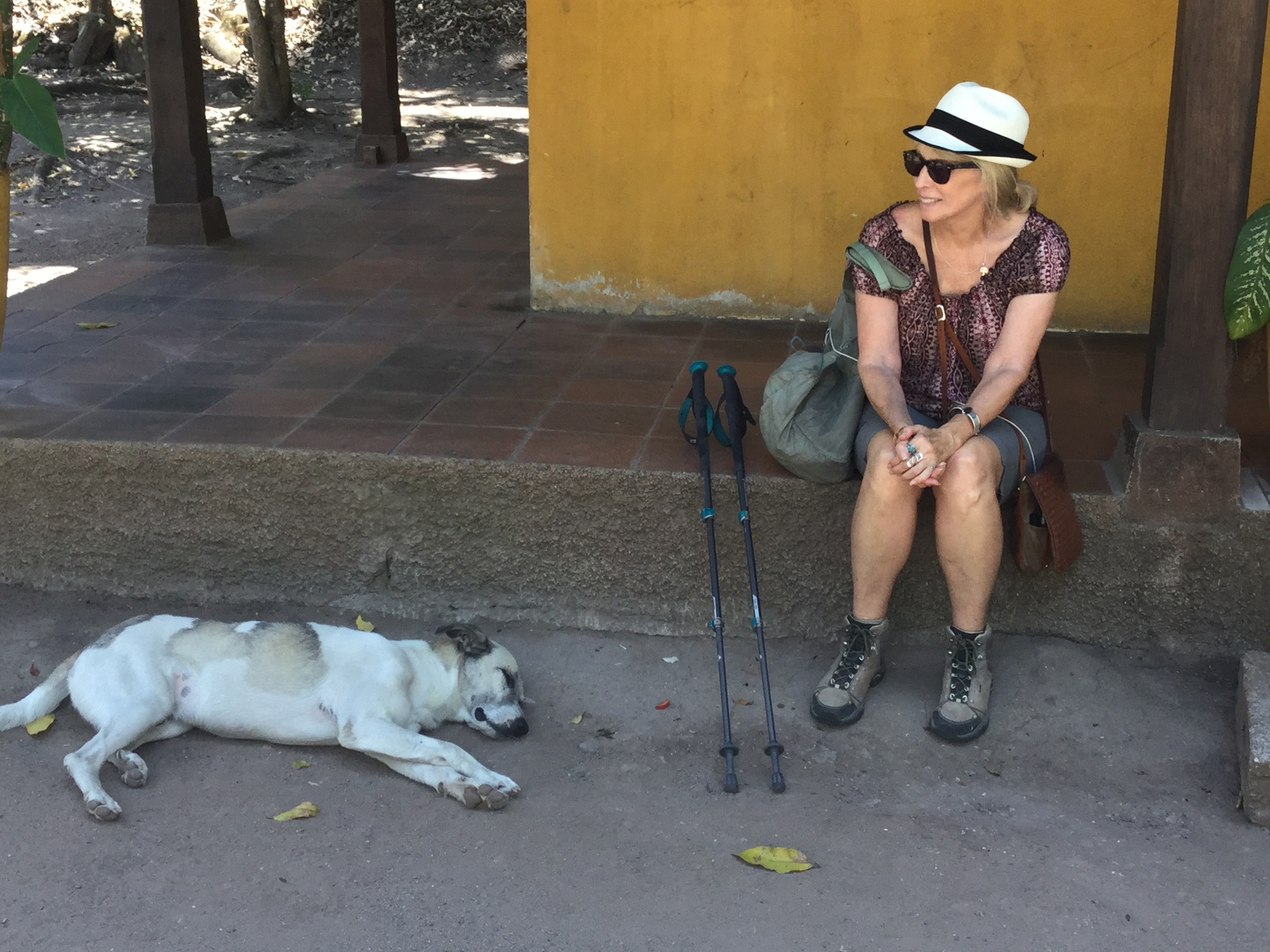 It got hot out here walking around Copán in the 90 degree heat...this pup's got the right idea.