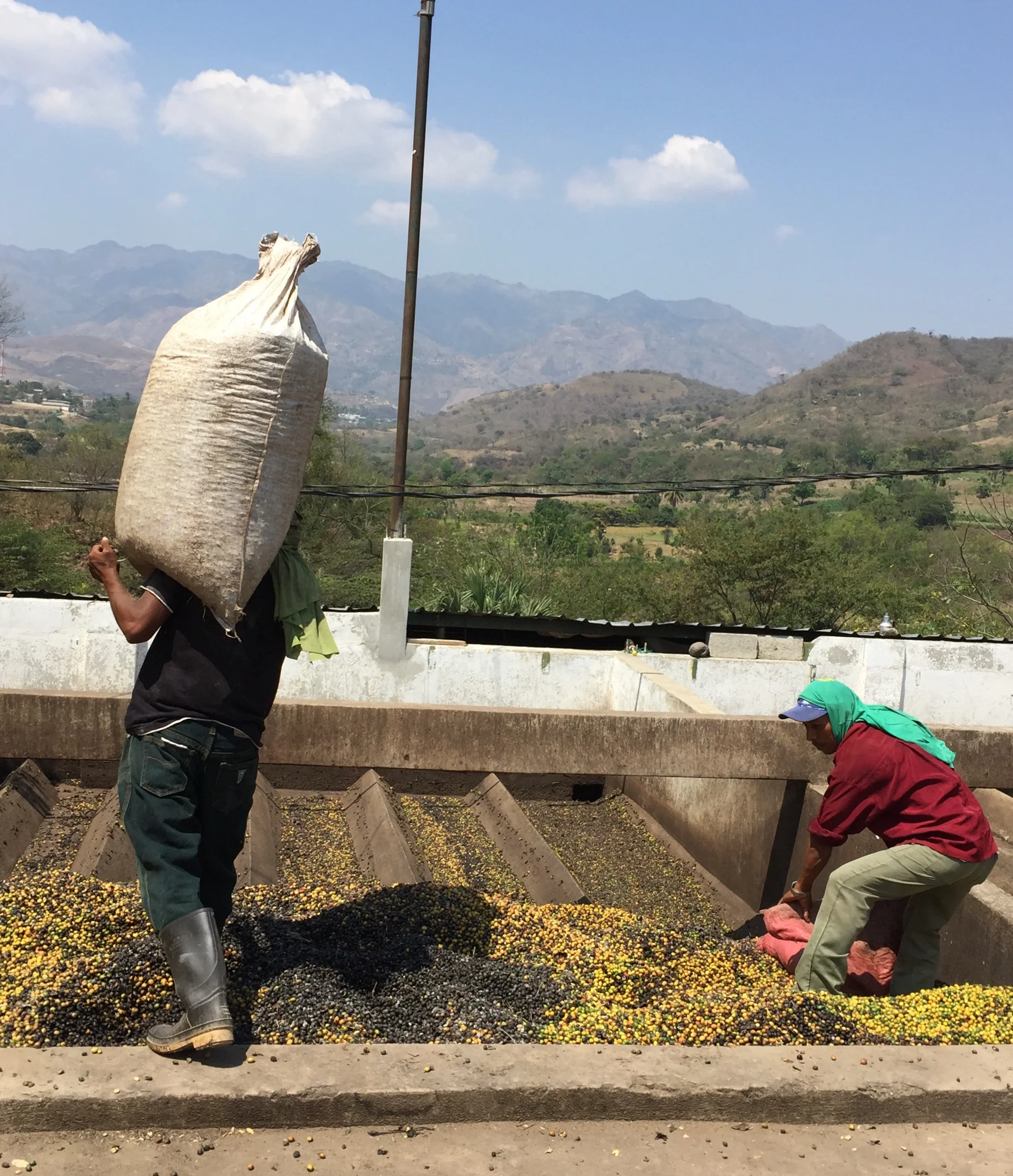 Preparing coffee beans for roasting in the Guatemalan countryside outside of Guatemala City.