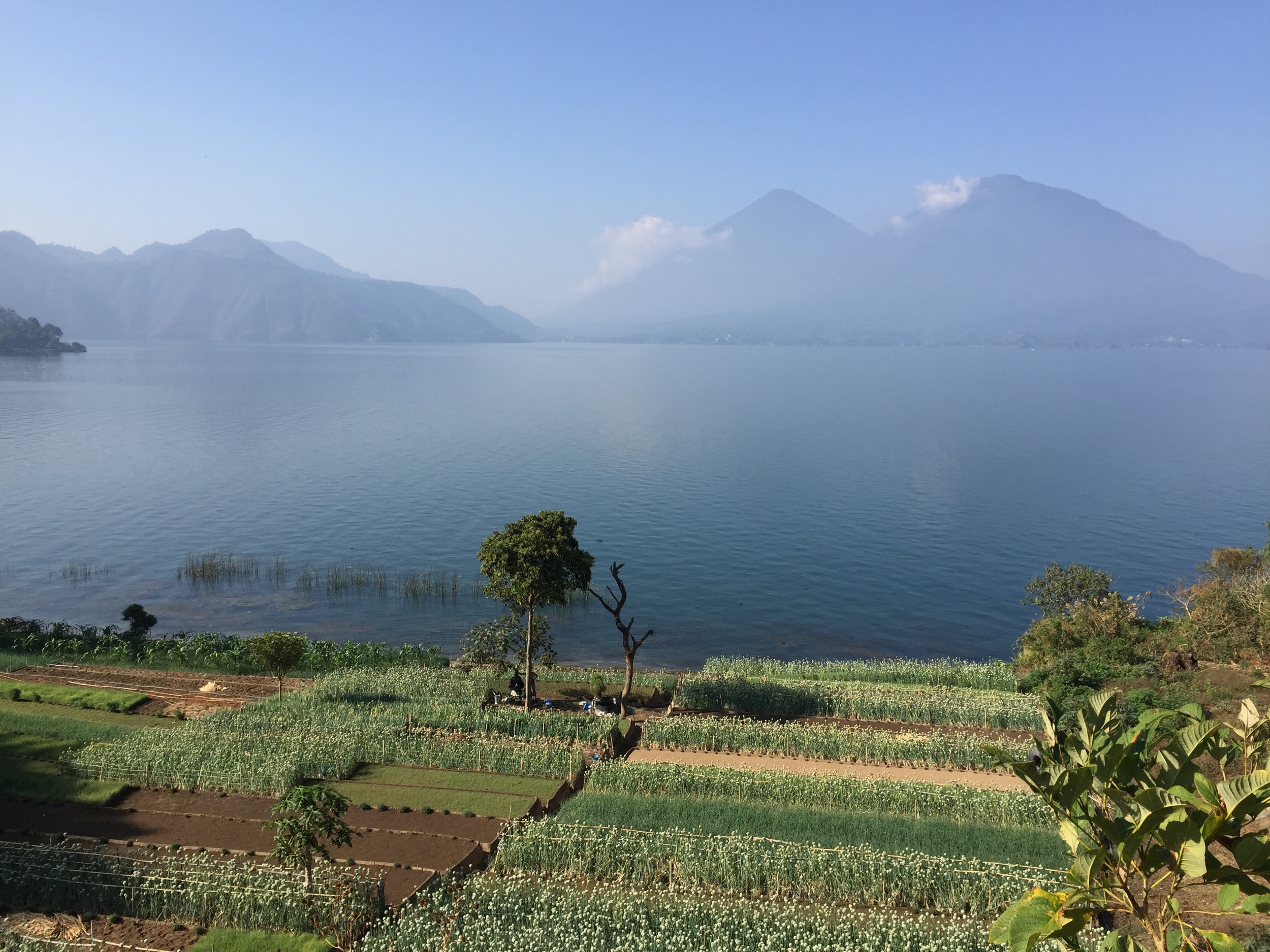 Vegetable farm along the edge of Lake Atitlan...you can see volcanoes in the background.