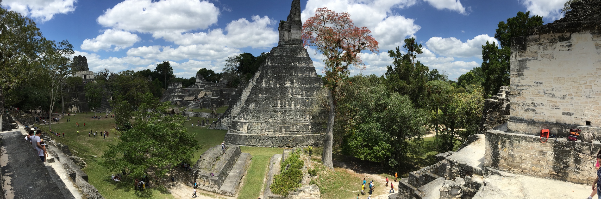 Panoramic view of the main plaza of Tikal.