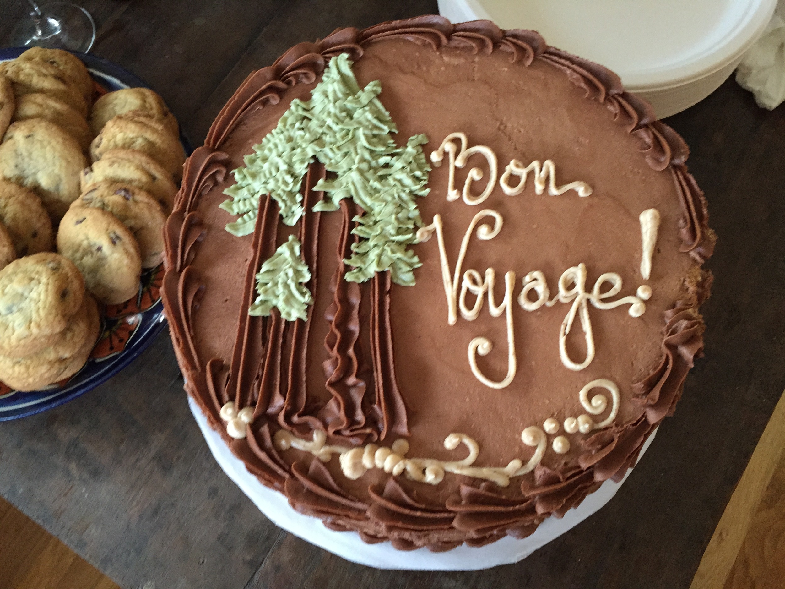 When I decided to take a year-long trip around the world, I had a great incentive to get rid of stuff. First step...eat this cake!!!