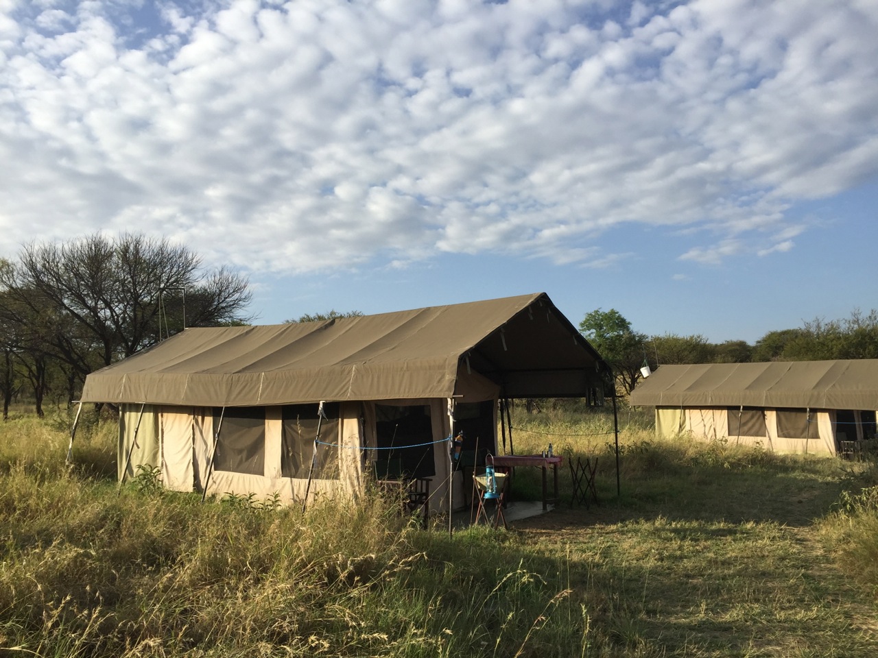 serengeti-tent-camp.jpg