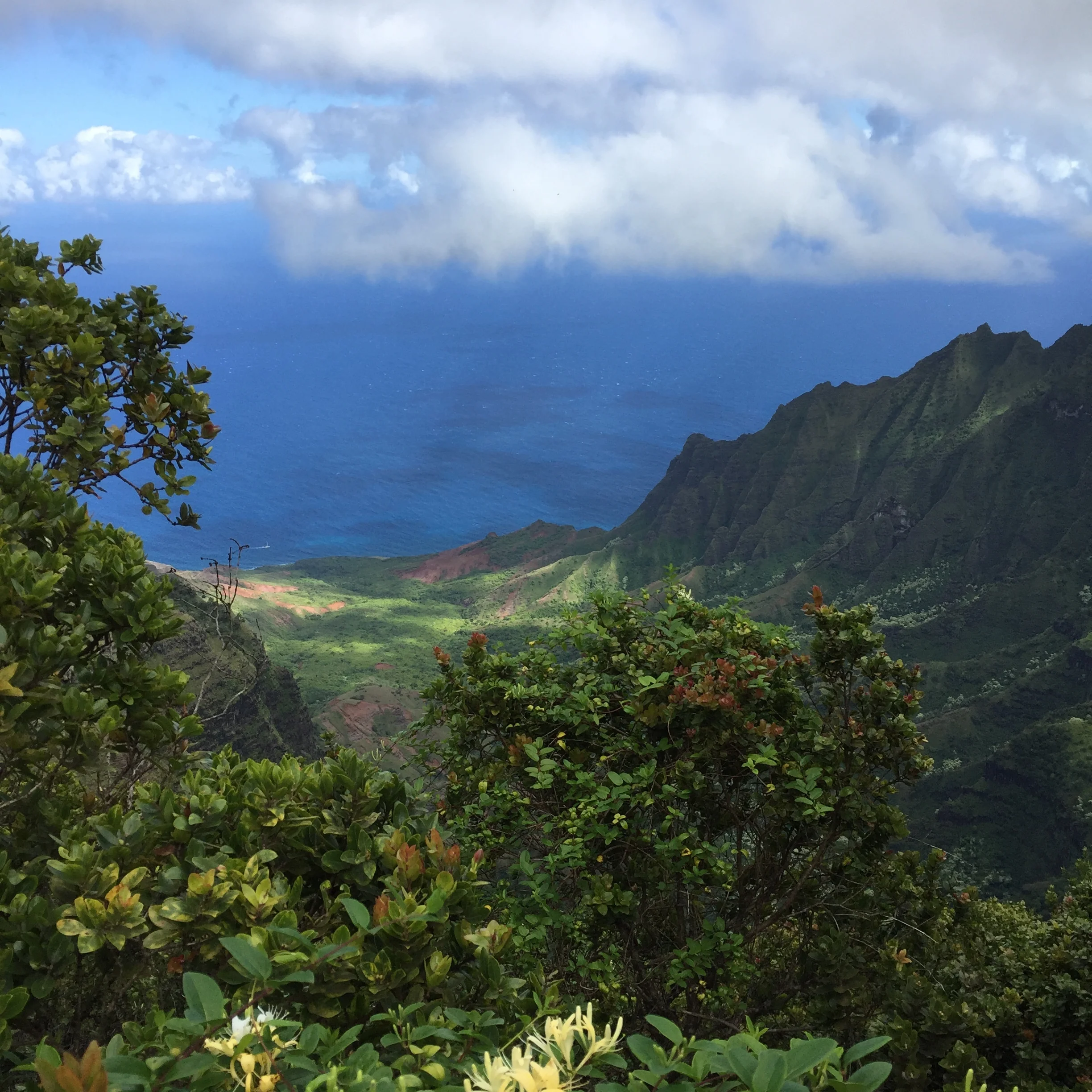 Hawaii to cap it all off...