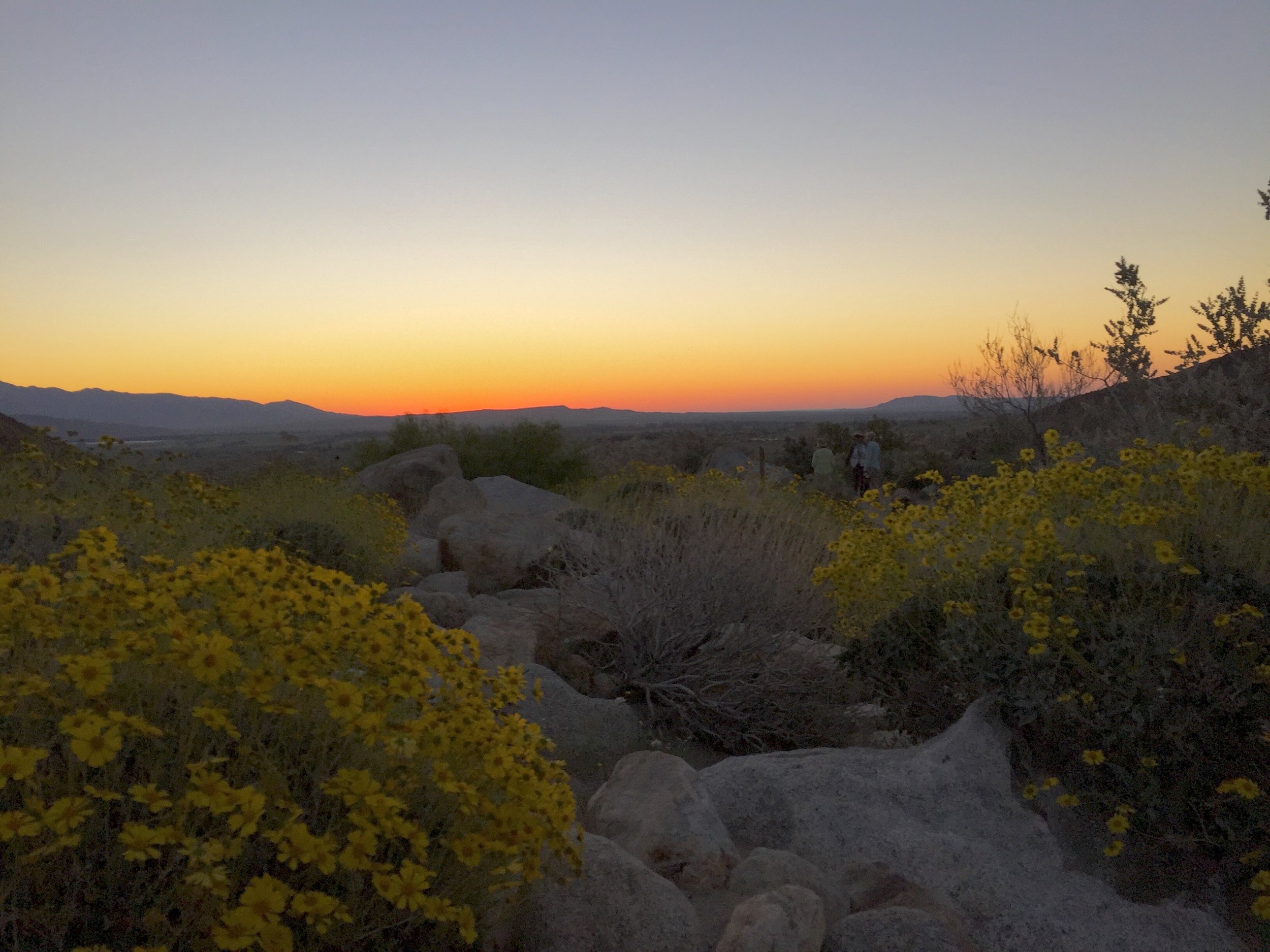 Sun rising over the ridge at Borrego Palm Canyon, Anza-Borrego Desert State Park. Photo by Betsy Herbert, 2017.