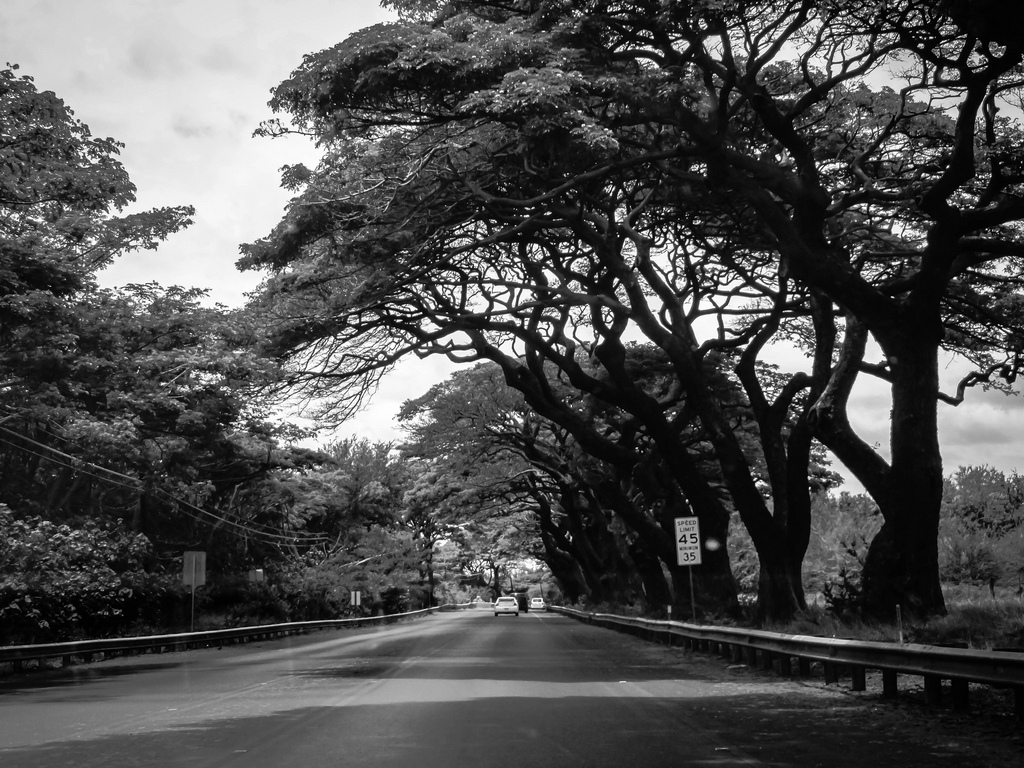 Lahaina broken bridge II.jpg