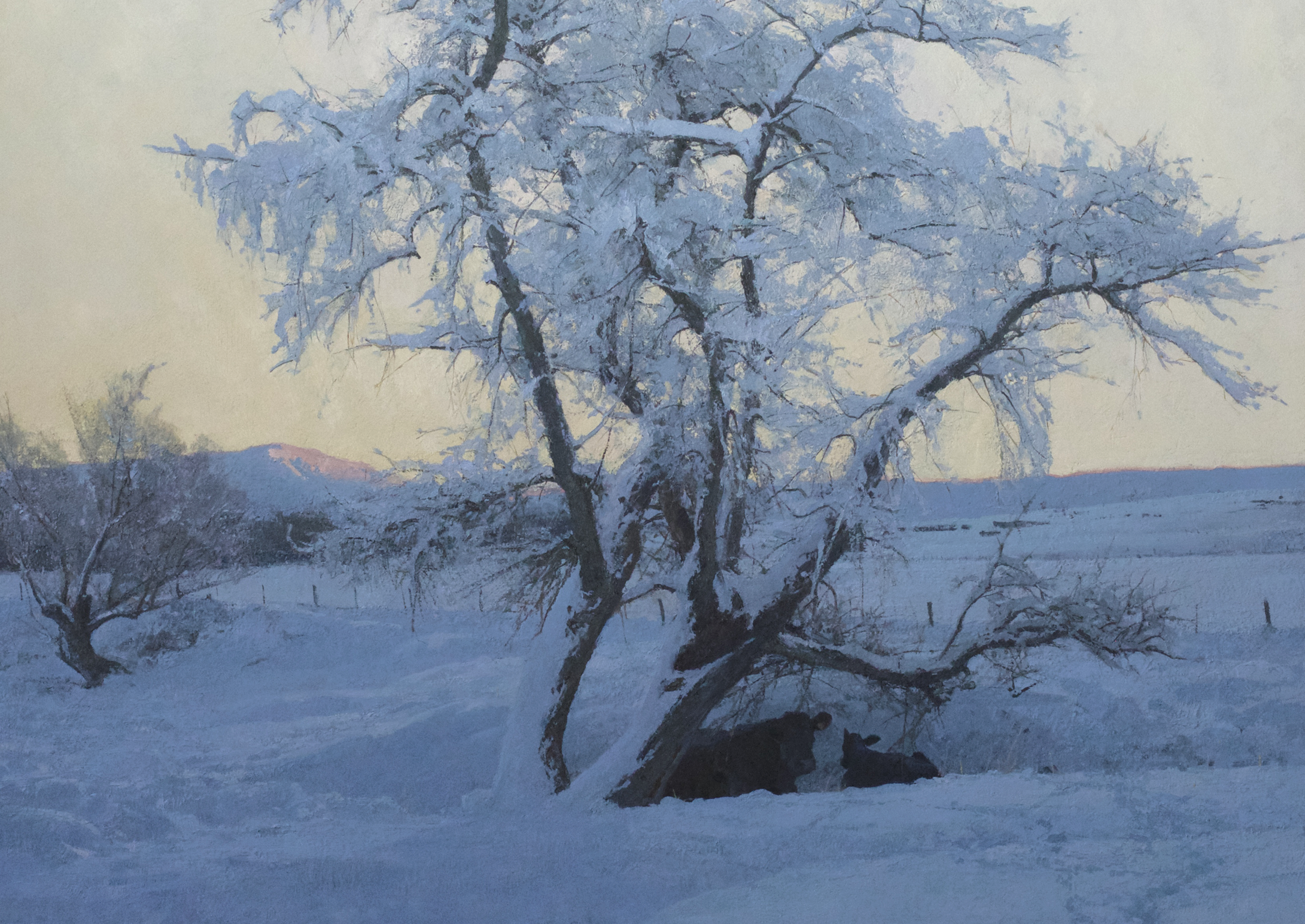 T. Allen Lawson - Recollections & Reflections