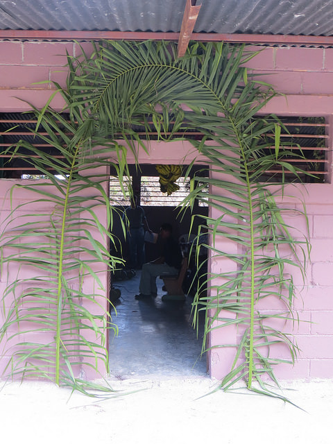 palm decorations