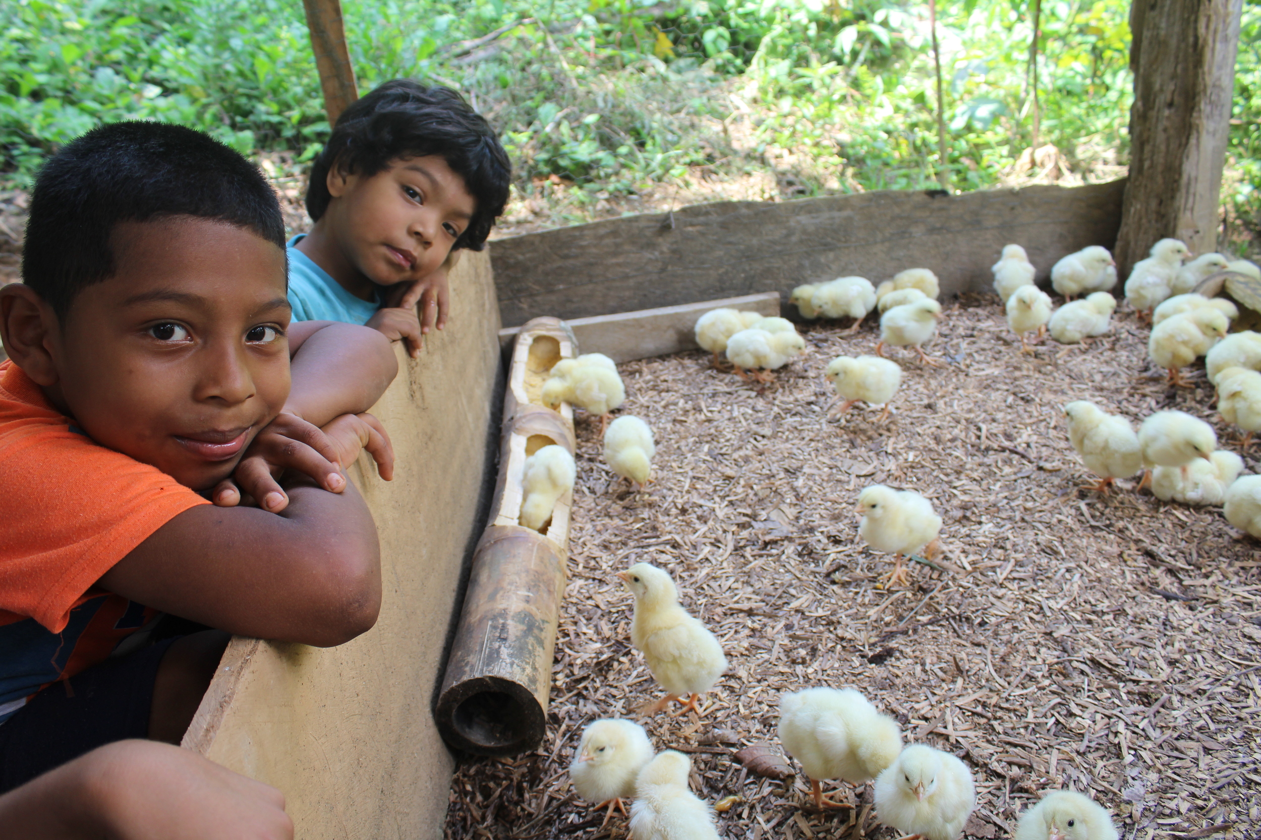 Grandchildren José + Andres visit newly hatched chicks - photo by Bailey McWilliams