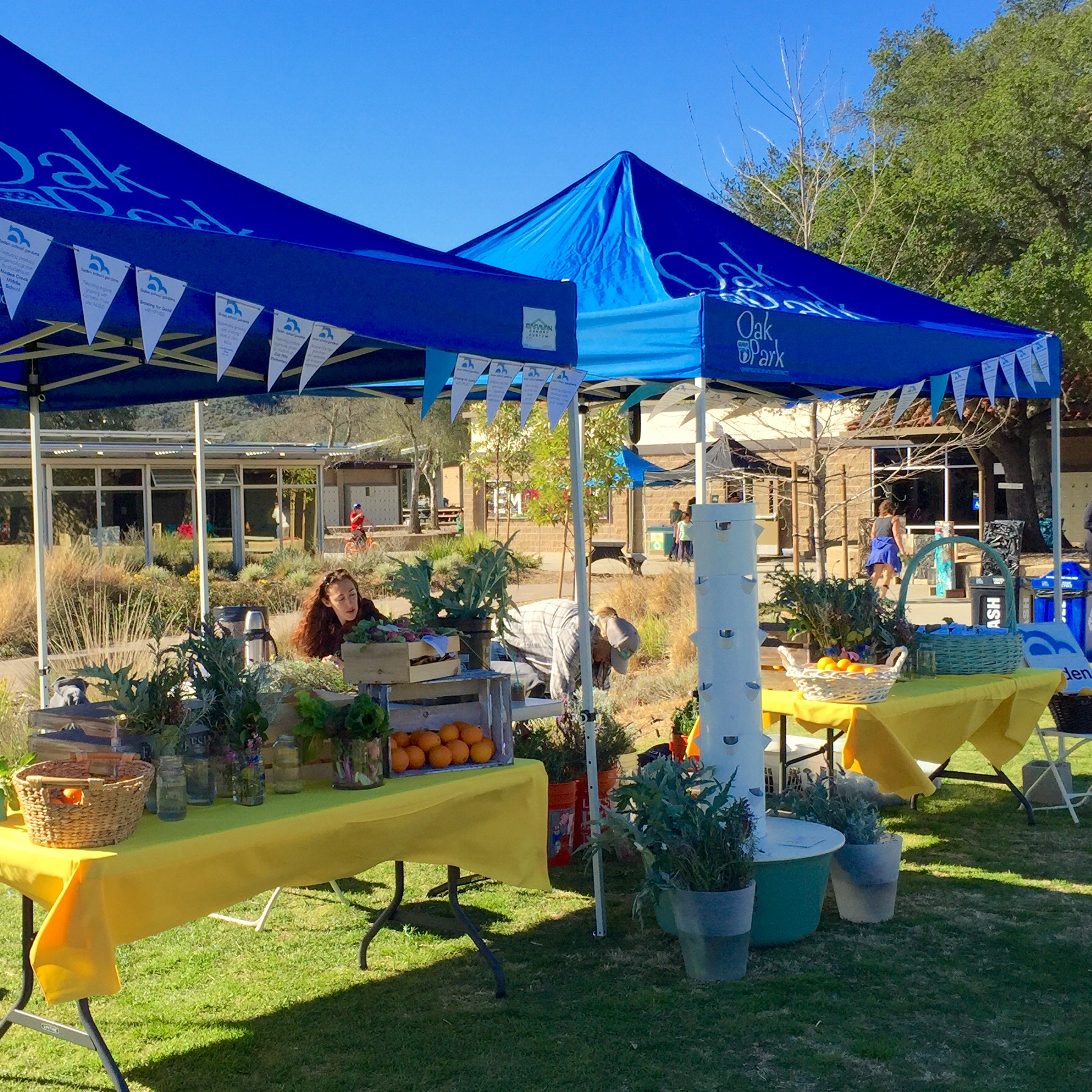 Garden Booth at Oak Park Unified School District's Sustainability Fair - photo courtesy of Kurt Weiss