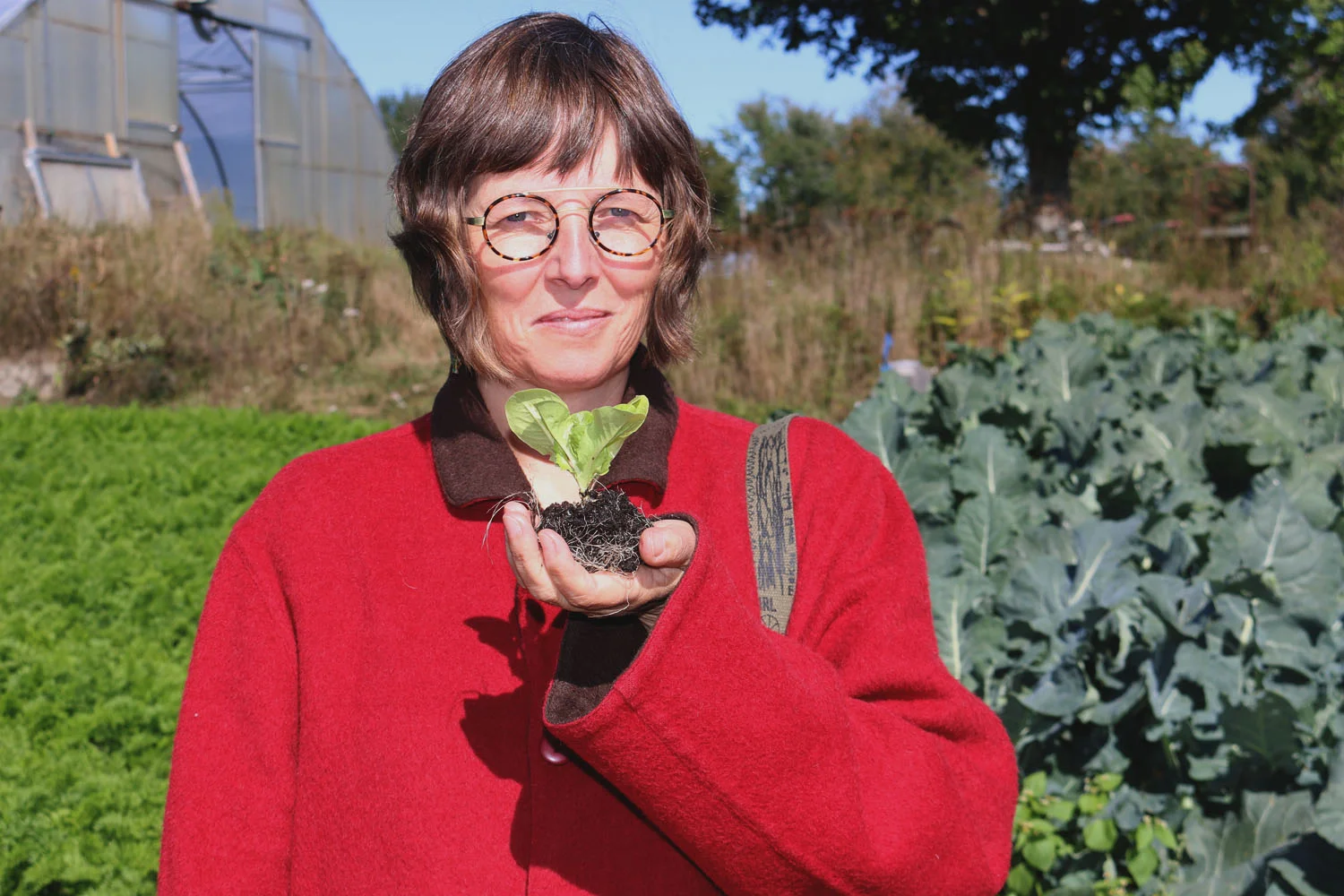 Woman holds seedling in hand