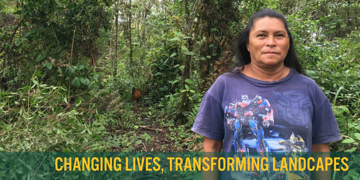 Rosa Perez stands in her preserve of tatascán trees in El Pito, Honduras. - photo by Elliott Powell