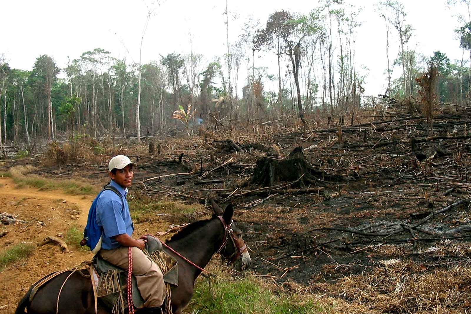 Unsustainable farming leads to deforestation, which contributes to the climate crisis.