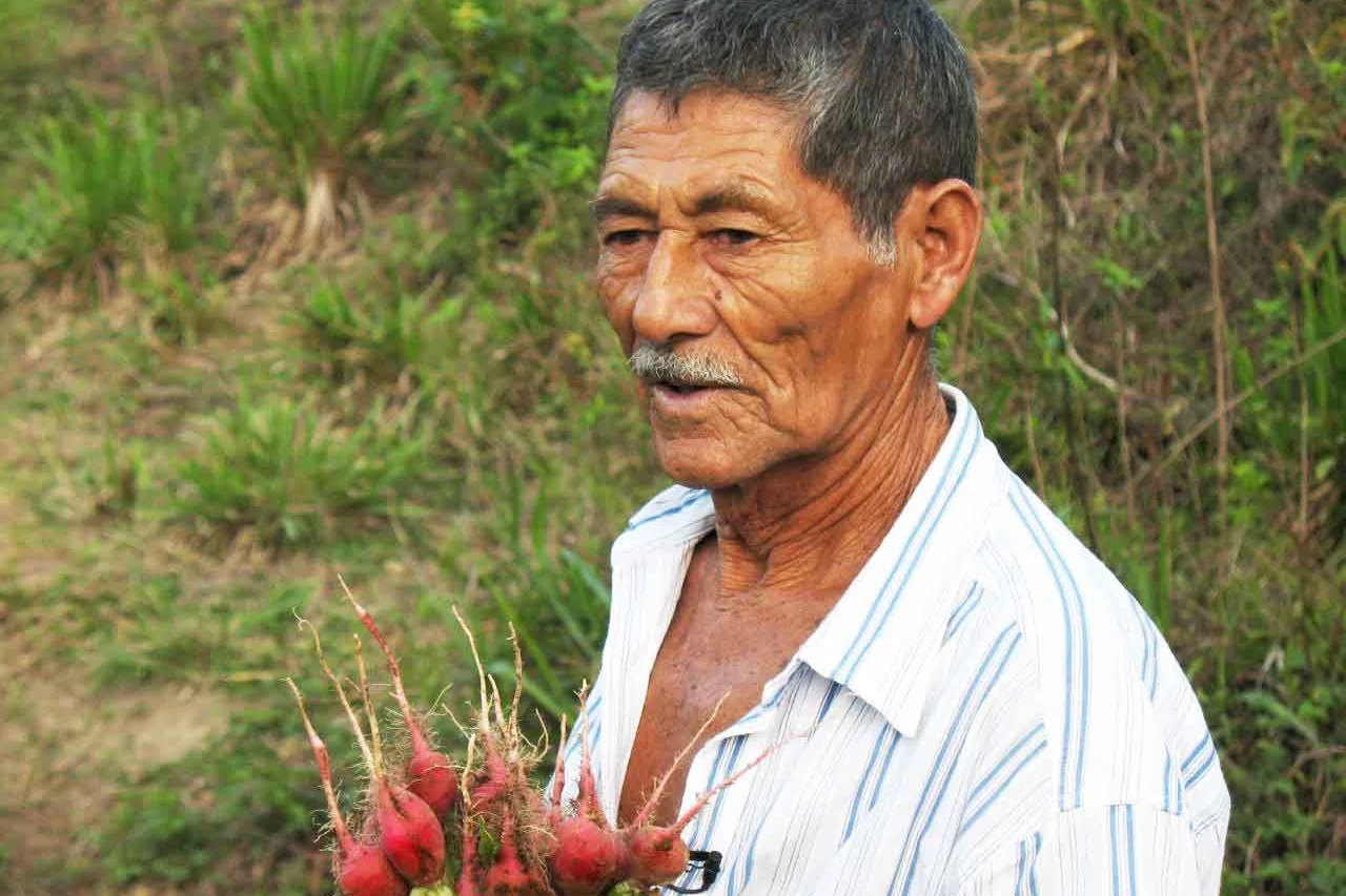 Don Cheyo grew up practicing slash-and-burn farming. With our help, he’s done a total 180.