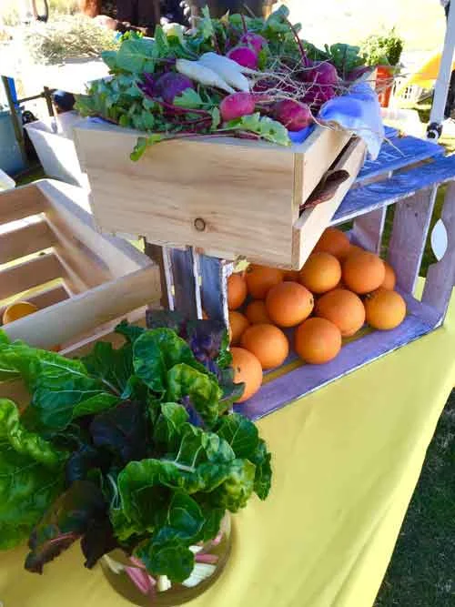 Oak Park School sold bouquets at a Sustainability Fair, raising money to support Sustainable Harvest International. Read more .