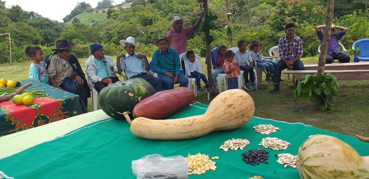 Sharing Seeds, Connecting Communities: Growing Food and Agency in Honduras