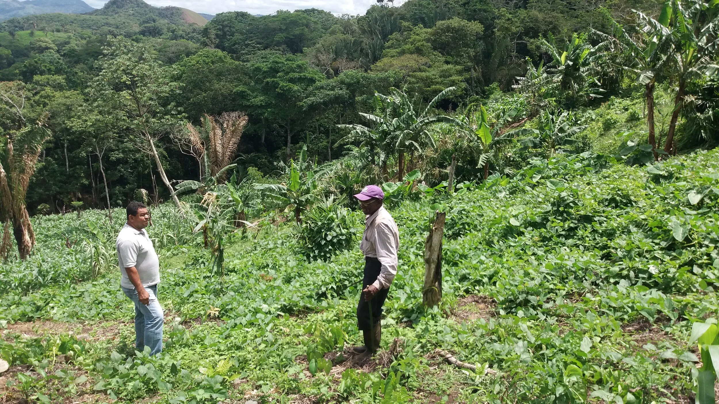 A Walk with Sustainable Farmer Ángel Vivas
