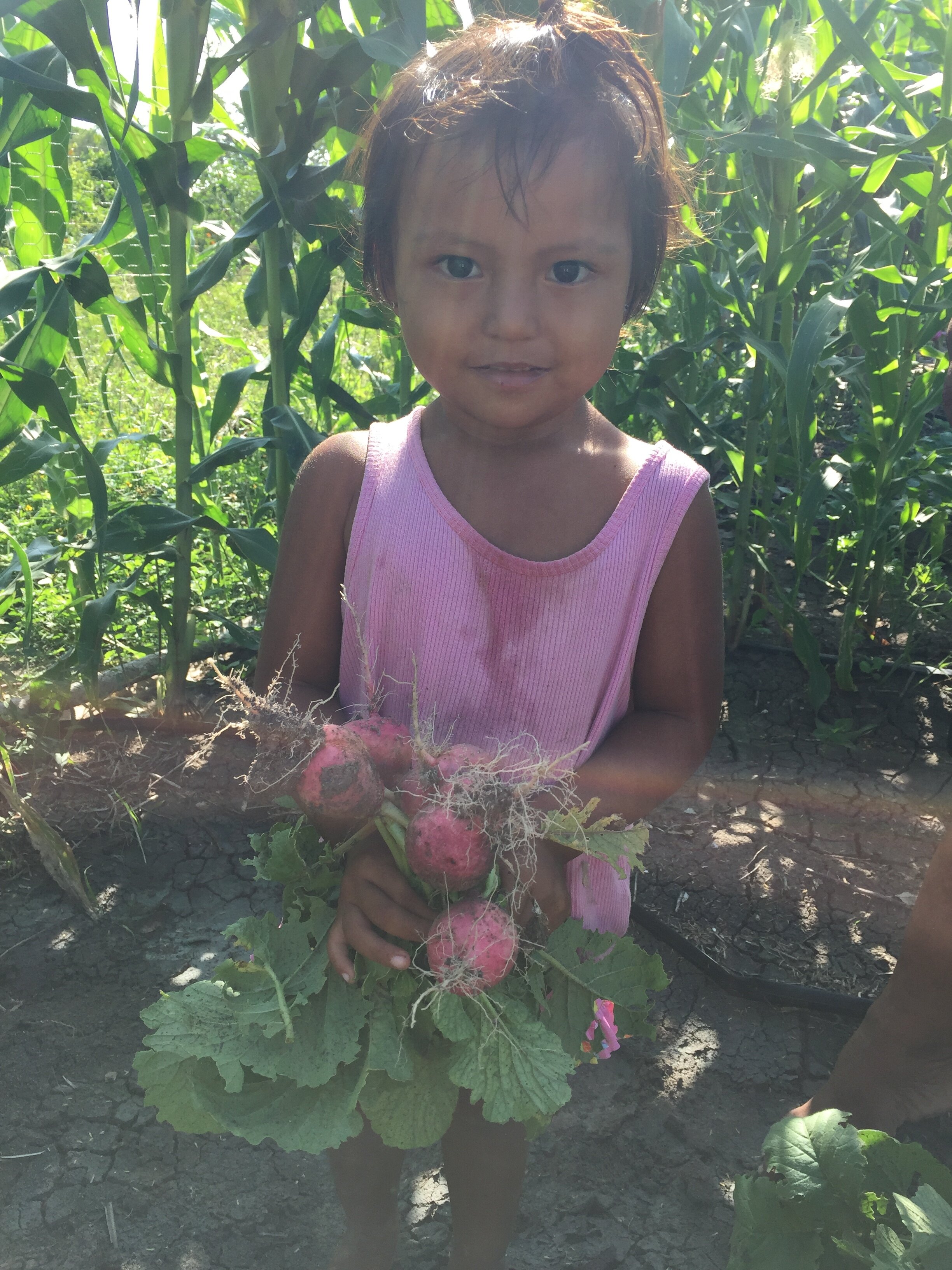Maria Santo's Daughter with the radish harvest V.jpg