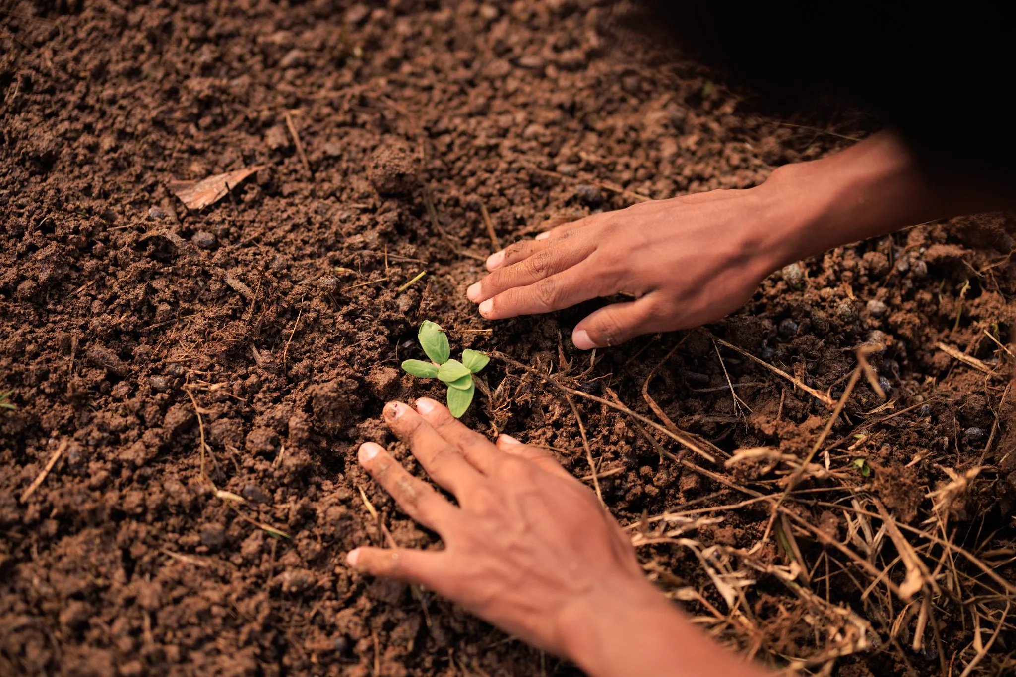 13 SUSTAINABLE PRACTICES FOR A HEALTHY PLANET