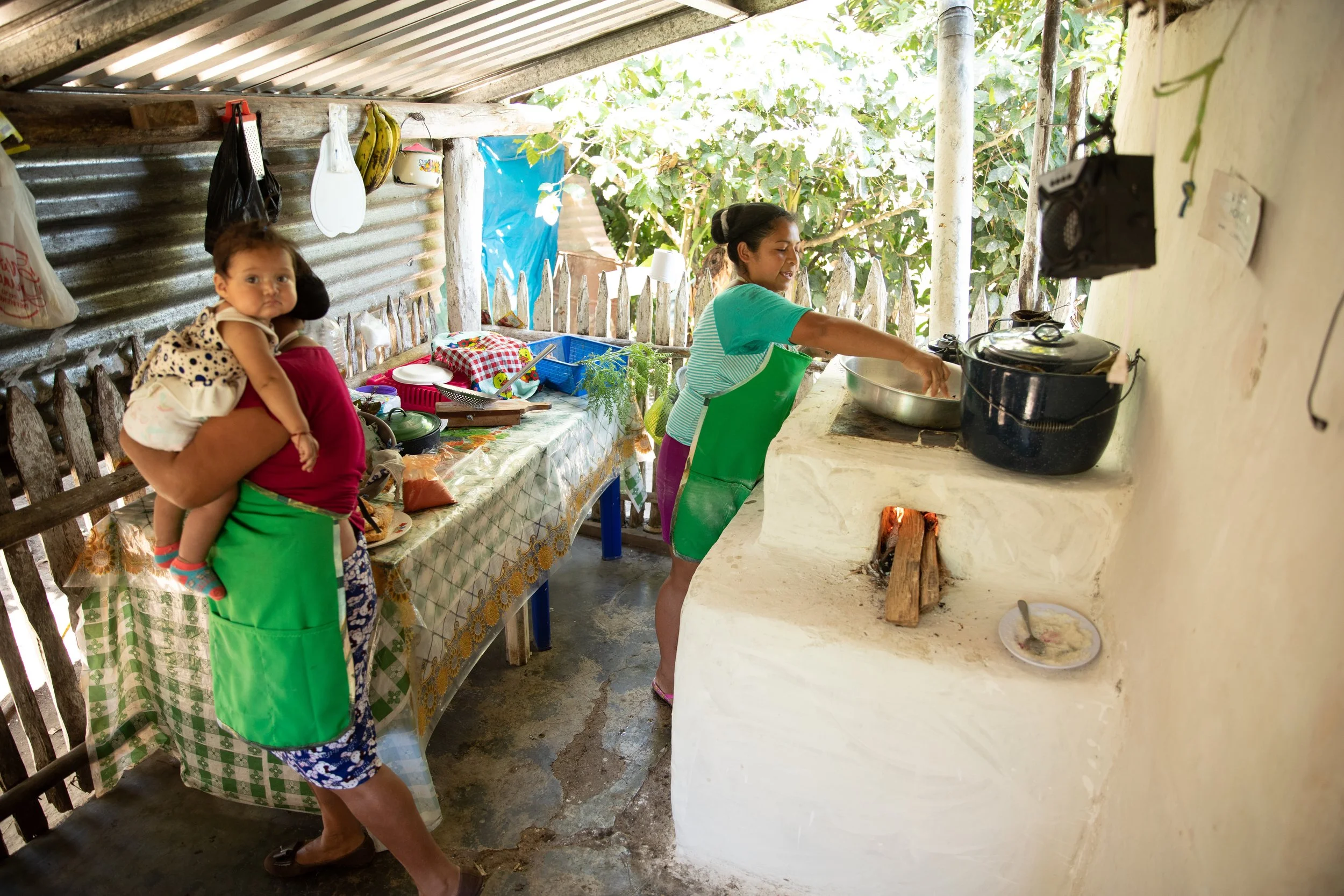 Clean Cooking: A Nature-Based Solution to Climate Change — Sustainable ...