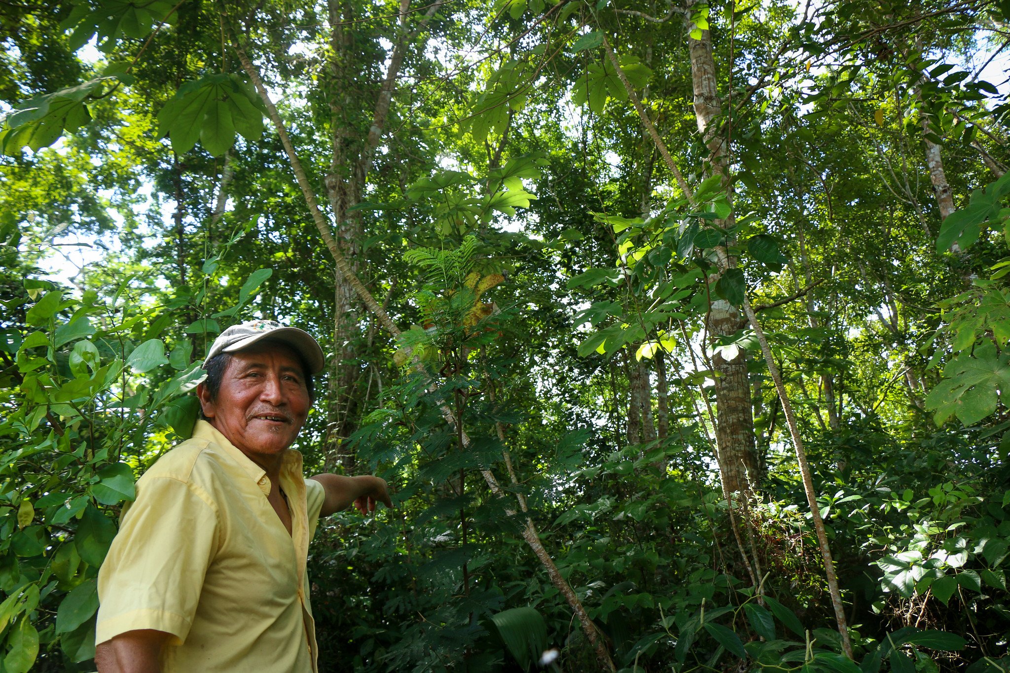 Felipe is proud to see how these trees have thrived, completely transforming the landscape. 