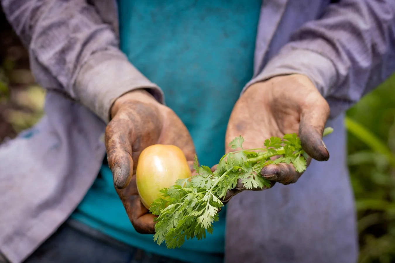 10 Ways to Celebrate Sustainability this Holiday Season