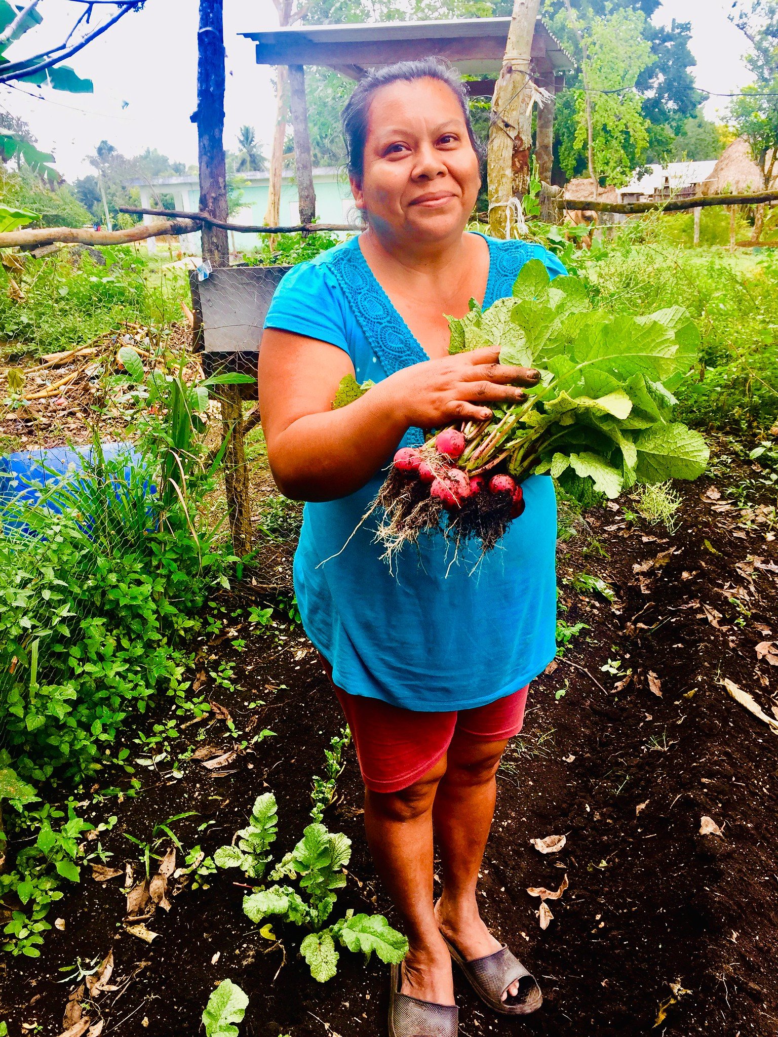 Sintia Mattu in her organic garden in Patchakan, Belize