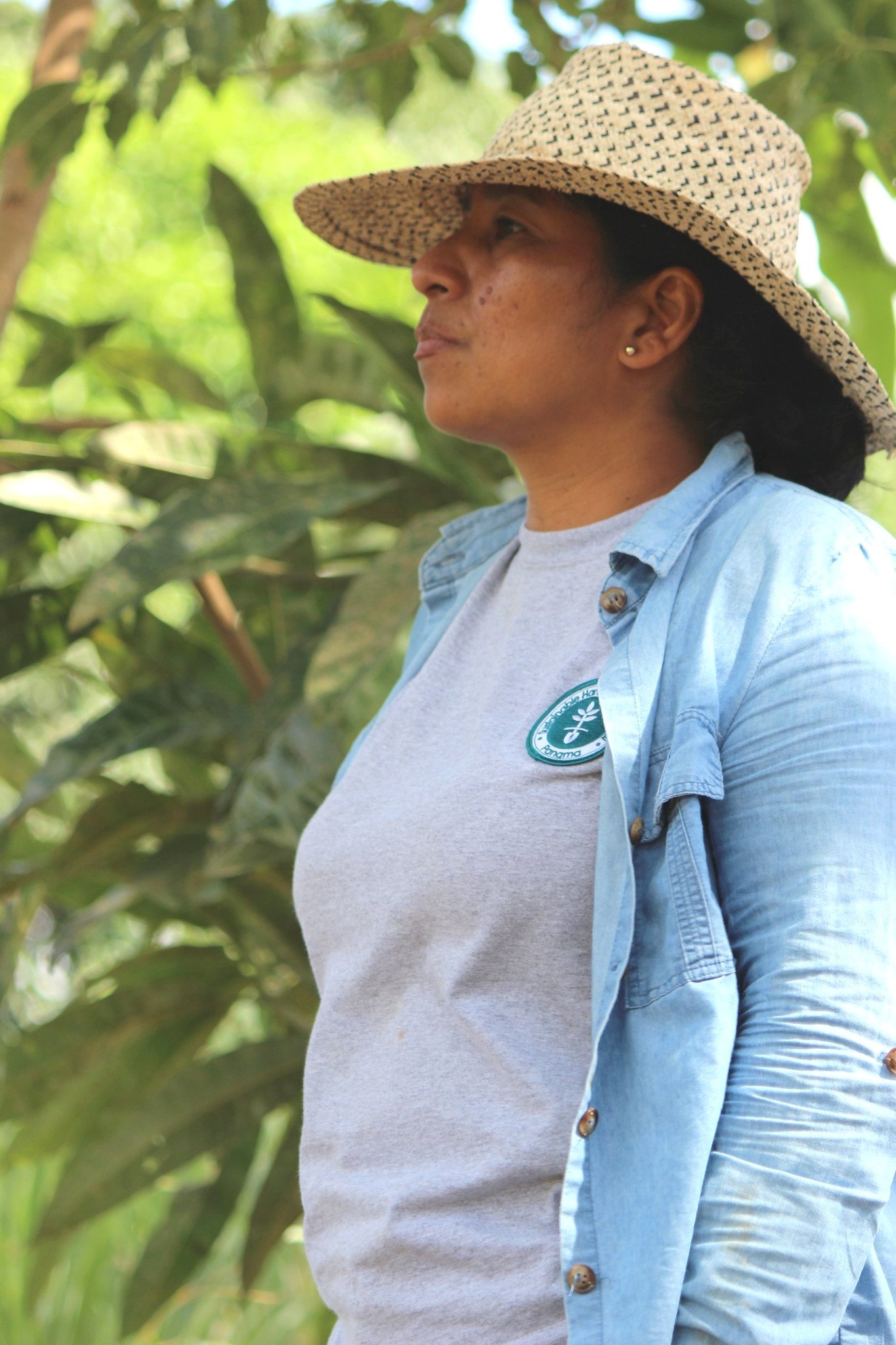 Kellys Lorenzo, Field Trainer