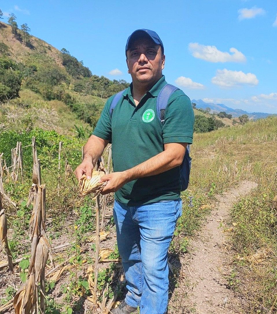 Wilmer López Handres, Business Advisor