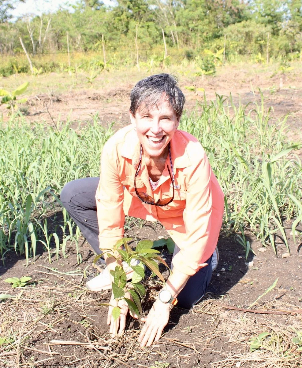 Sustainable Harvest International office