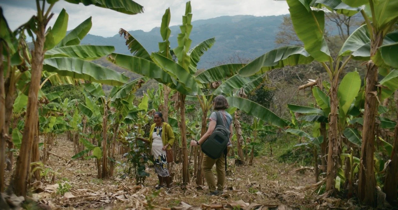 Roots_of_Renewal_PromoStill_35 Large.jpeg