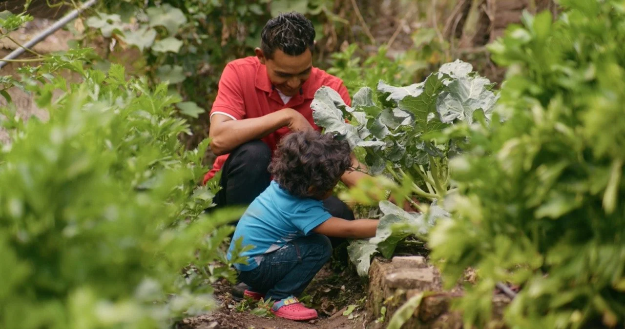 2024: A Year in Review