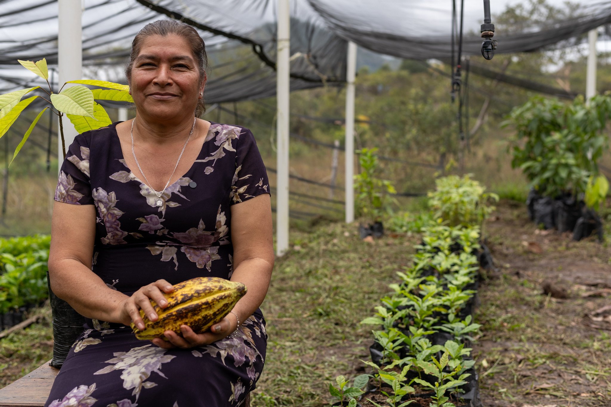 Support an SHI farmer