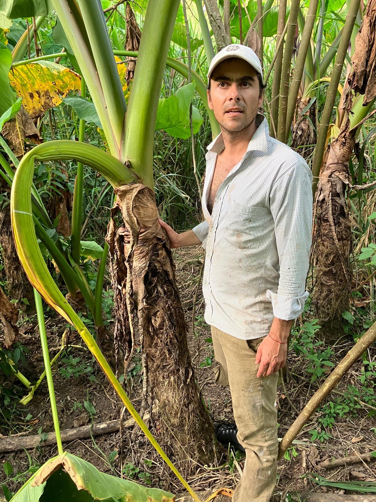 Daniel Ramírez, Member