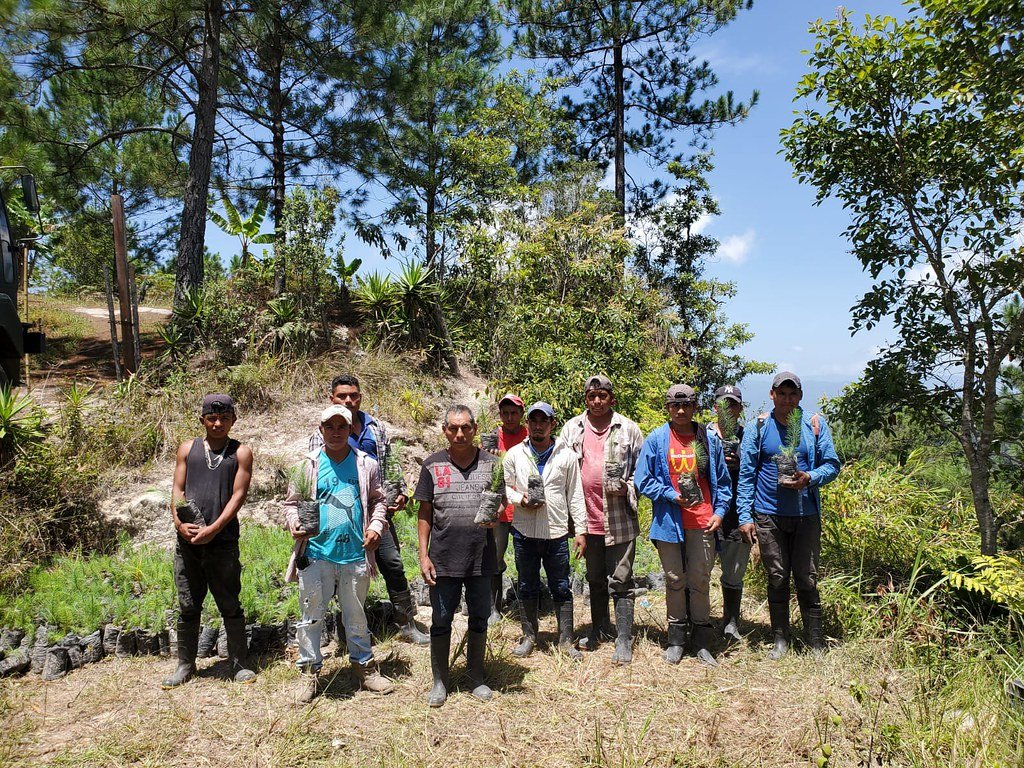 Reforestation Takes All of Us