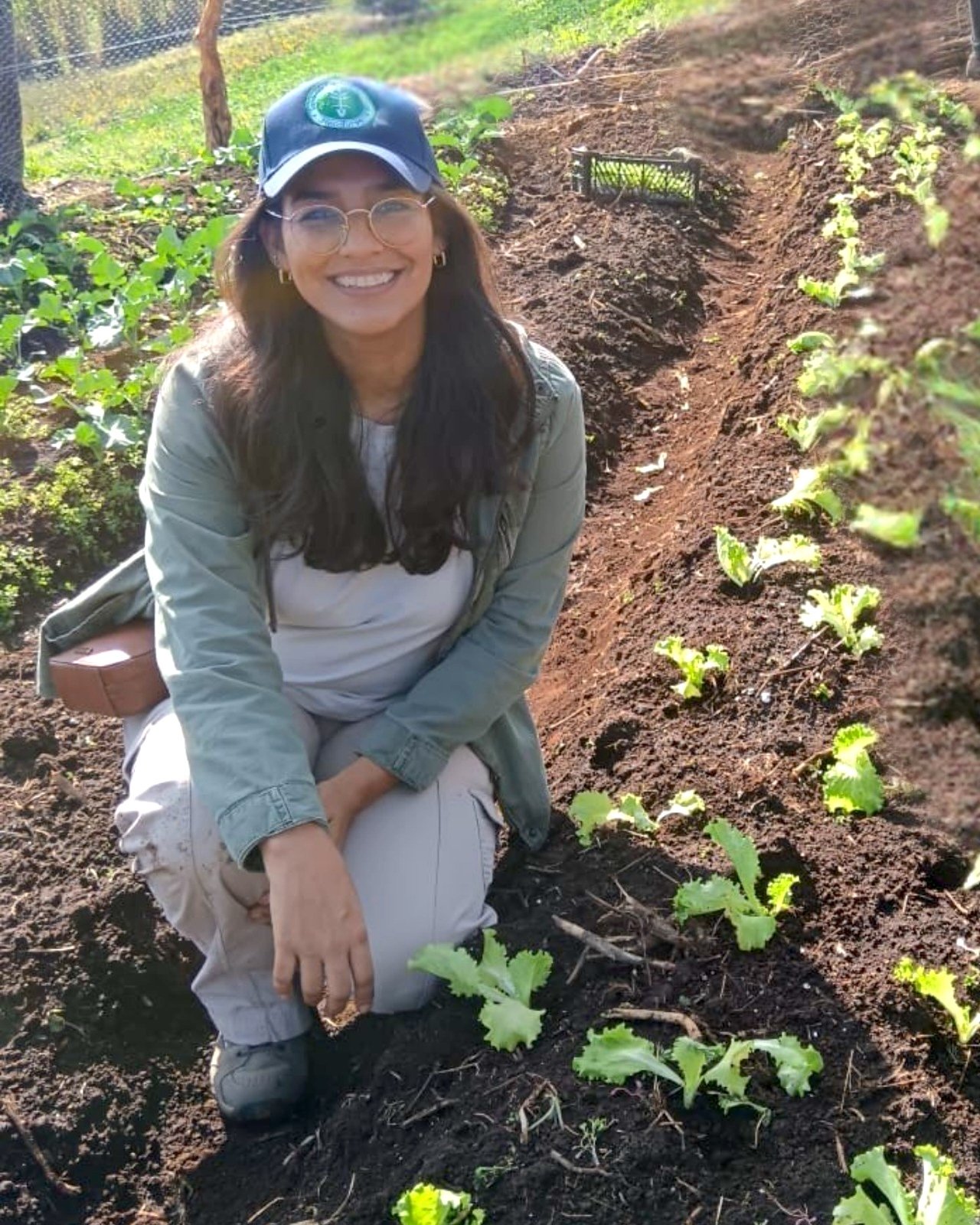 Clements Corea, Business Advisor