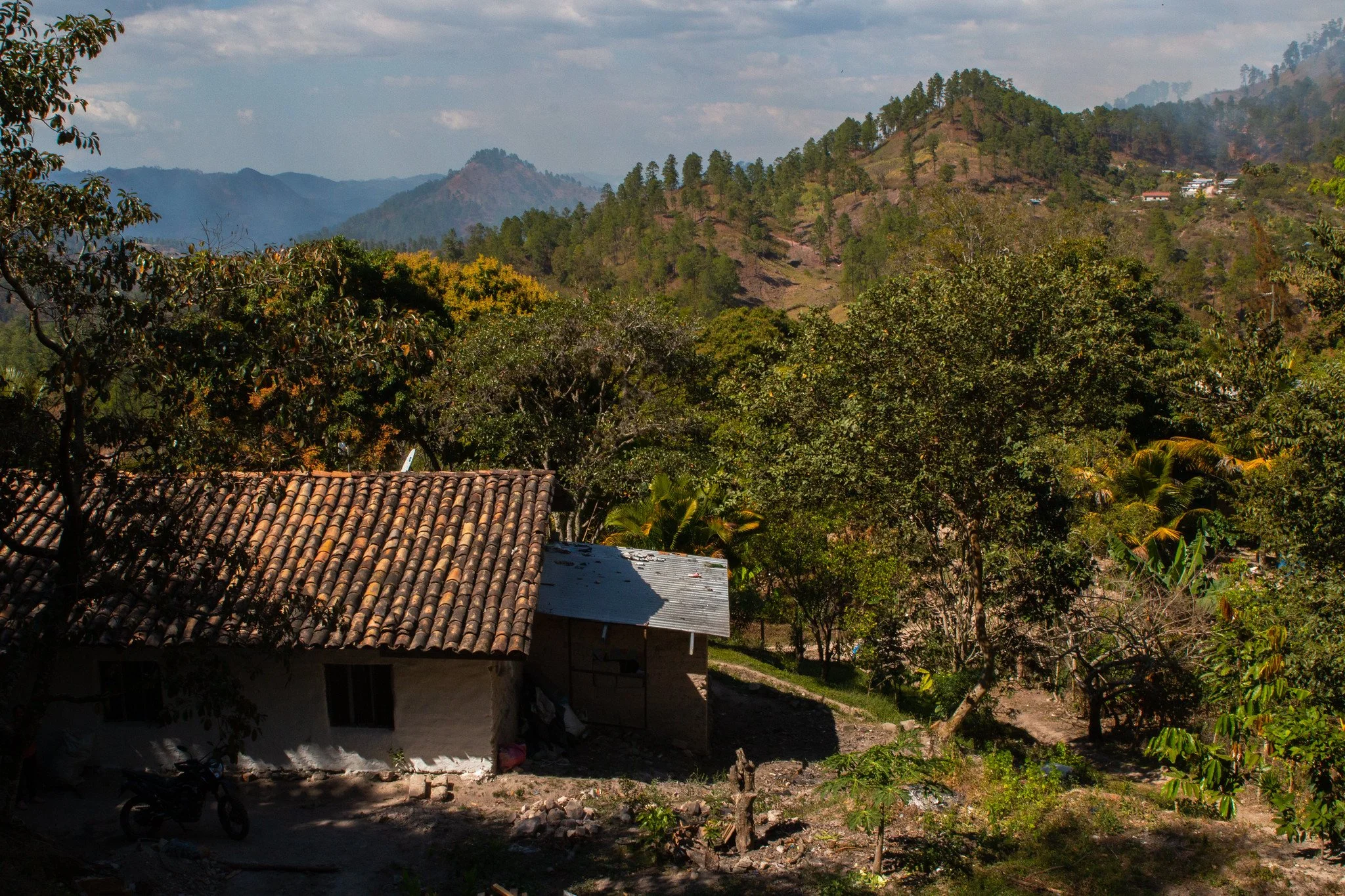 Campaign photo 3.jpg