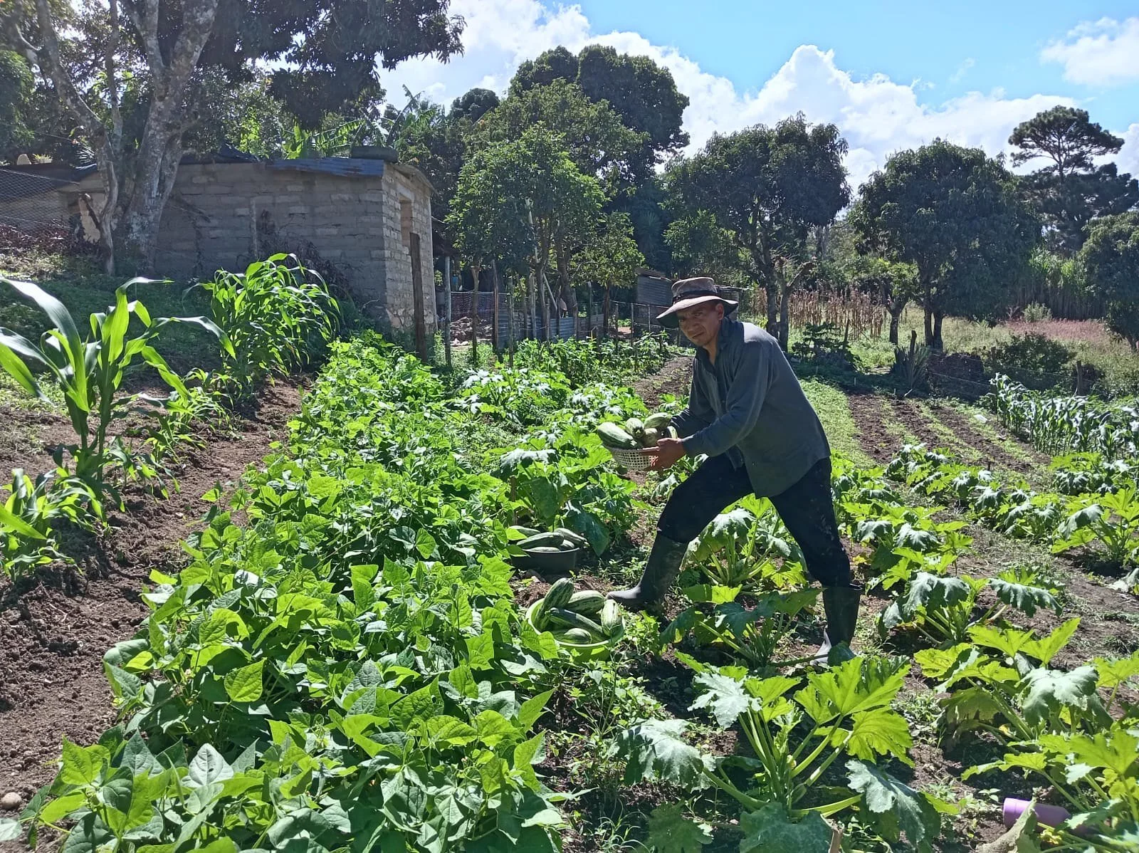 Edvin Celestino Vásquez from the El Limón community in Honduras.