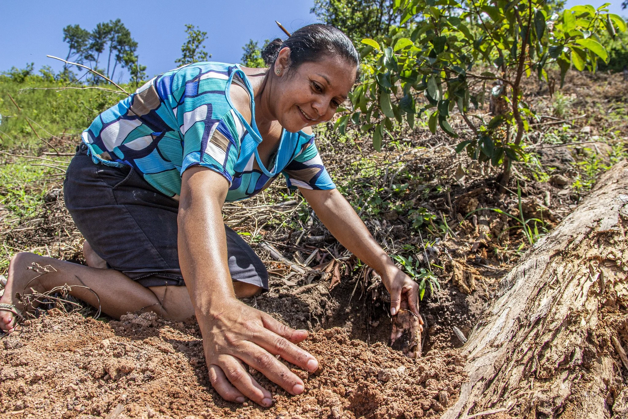 woman digs hole in forest